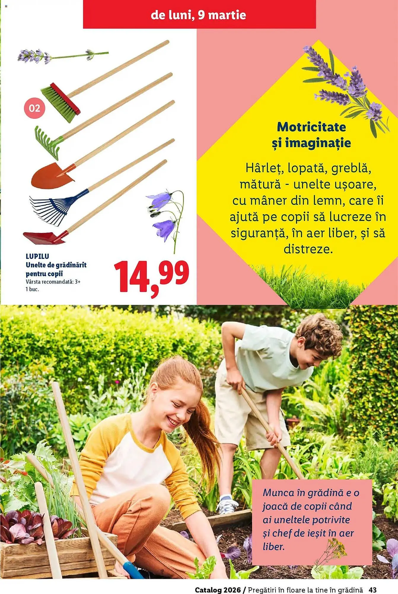 Catalog Catalog Lidl de la 18 februarie până la 5 aprilie 2026 - Revista Pagina 43