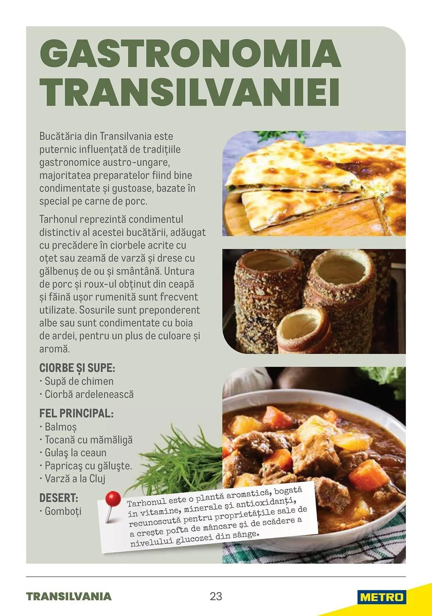 Catalog Catalog Metro de la 9 aprilie până la 31 decembrie 2025 - Revista Pagina 23