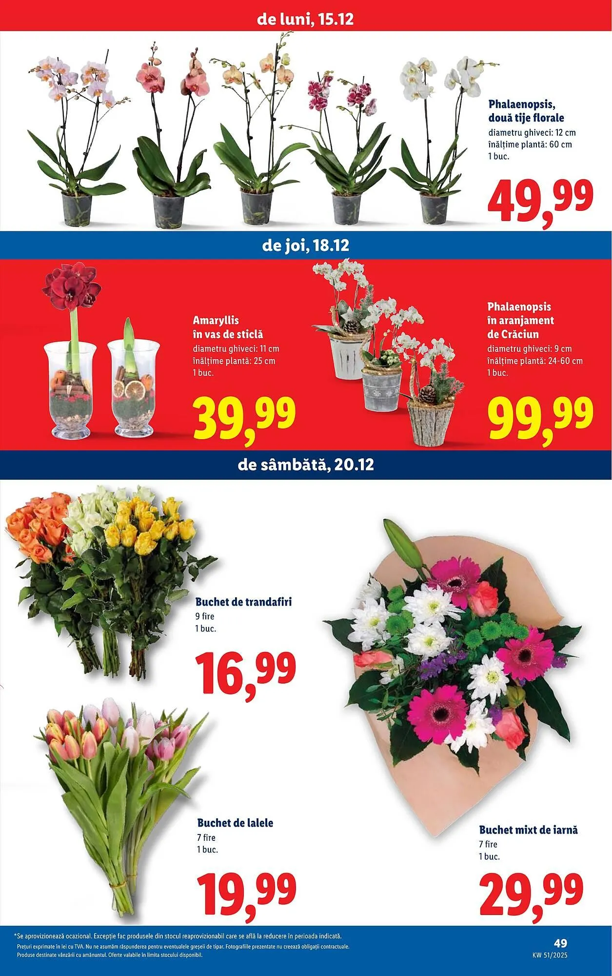 Catalog Catalog Lidl de la 15 decembrie până la 21 decembrie 2025 - Revista Pagina 49