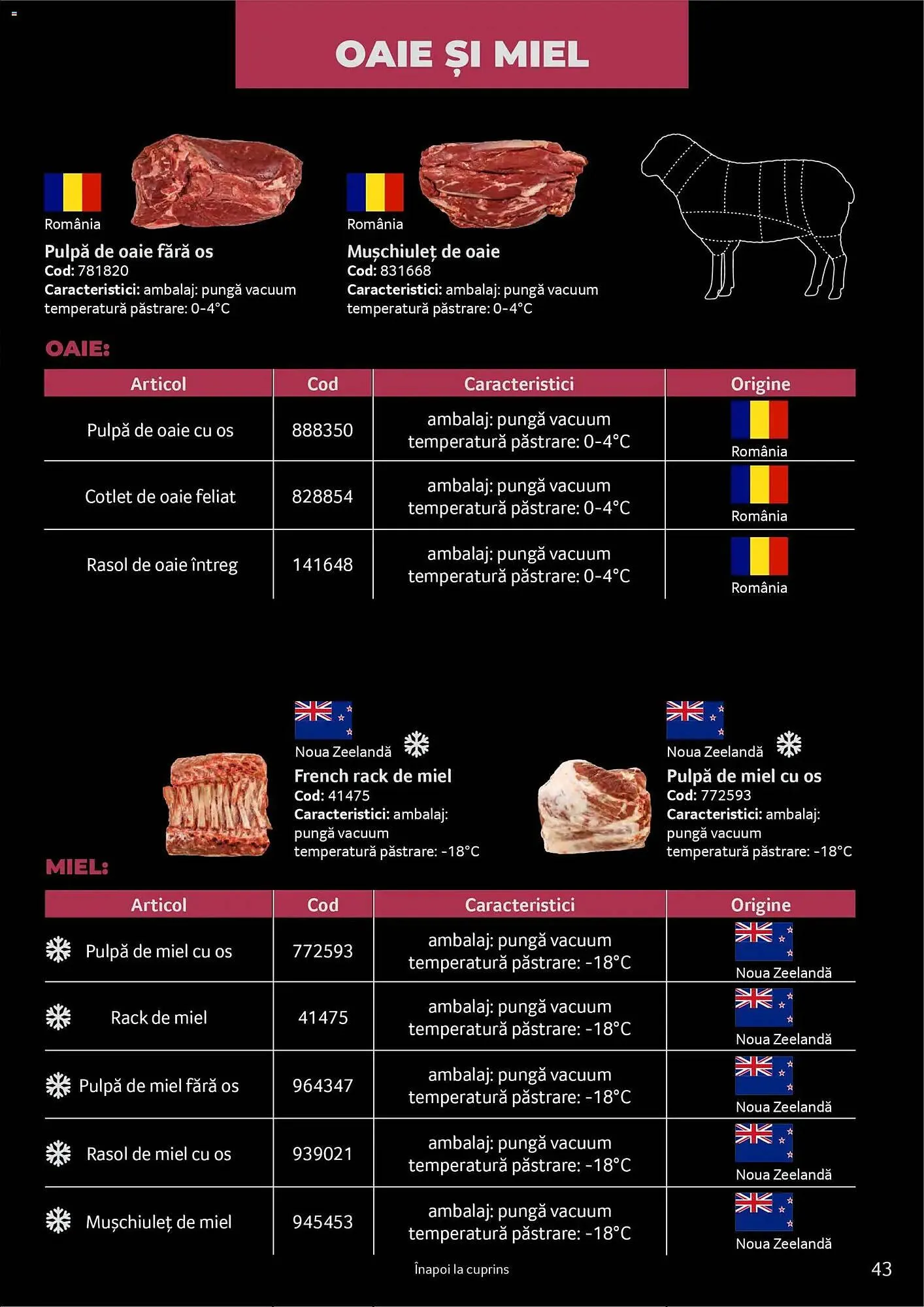 Catalog Catalog Selgros de la 24 martie până la 31 martie 2027 - Revista Pagina 43
