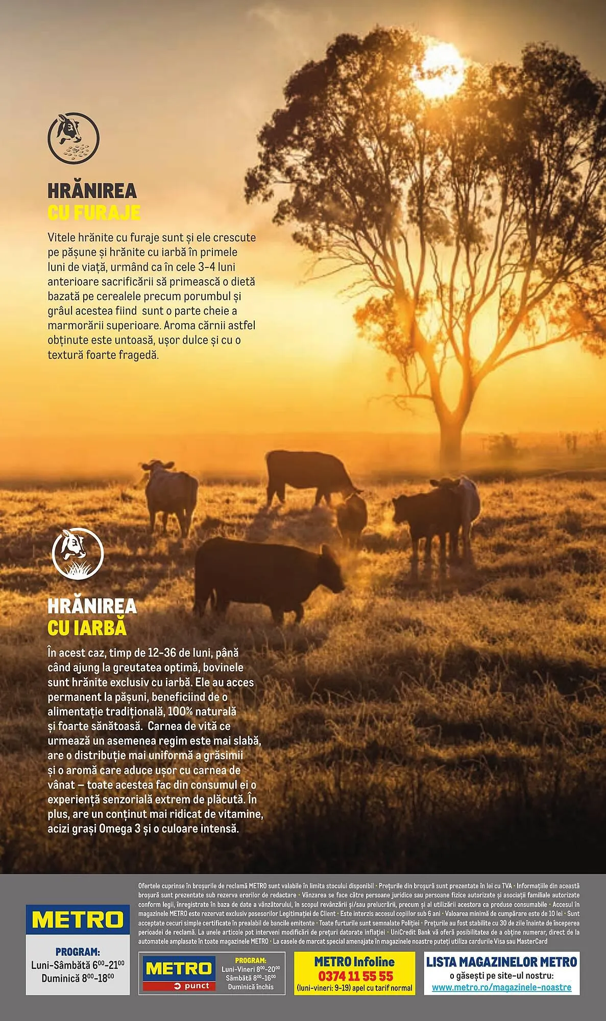 Catalog Metro catalog de la 20 iulie până la 31 decembrie 2023 - Revista Pagina 20