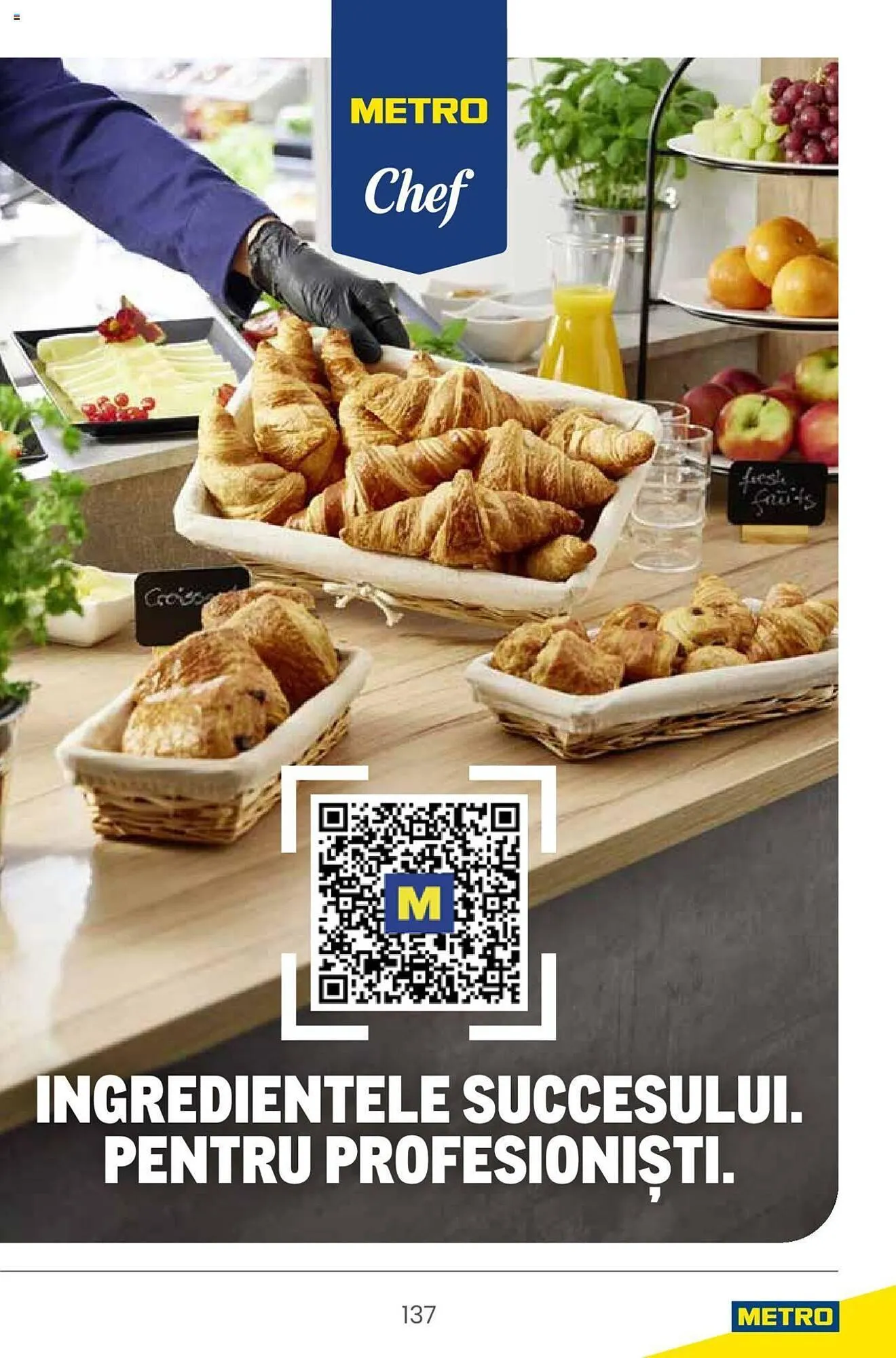 Catalog Metro catalog de la 22 martie până la 31 martie 2025 - Revista Pagina 287