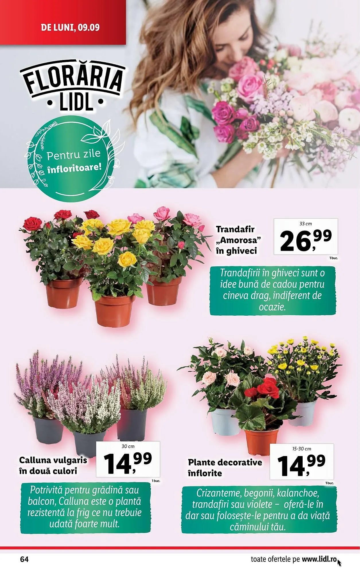 Catalog Catalog Lidl de la 9 septembrie până la 15 septembrie 2024 - Revista Pagina 64