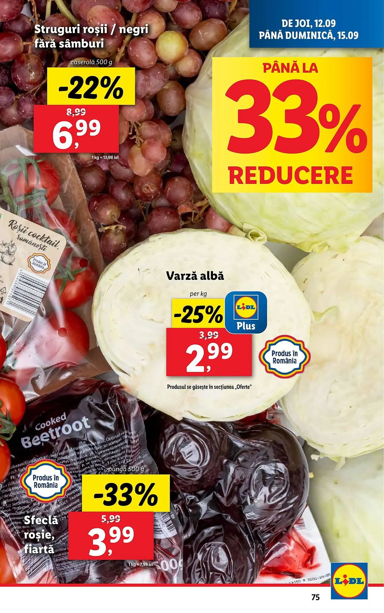 Catalog Catalog Lidl de la 9 septembrie până la 15 septembrie 2024 - Revista Pagina 75