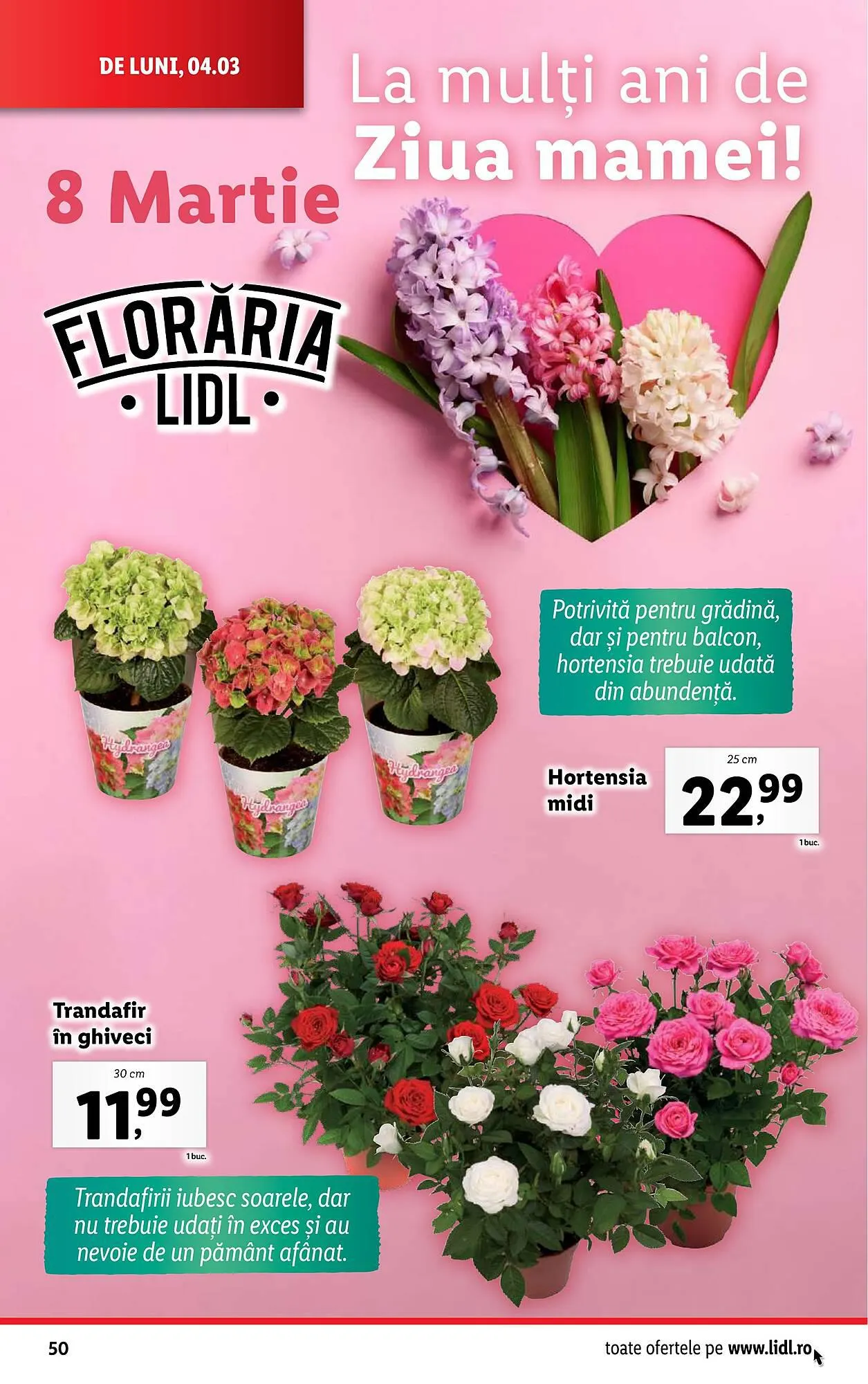 Catalog Lidl catalog de la 4 martie până la 10 martie 2024 - Revista Pagina 50