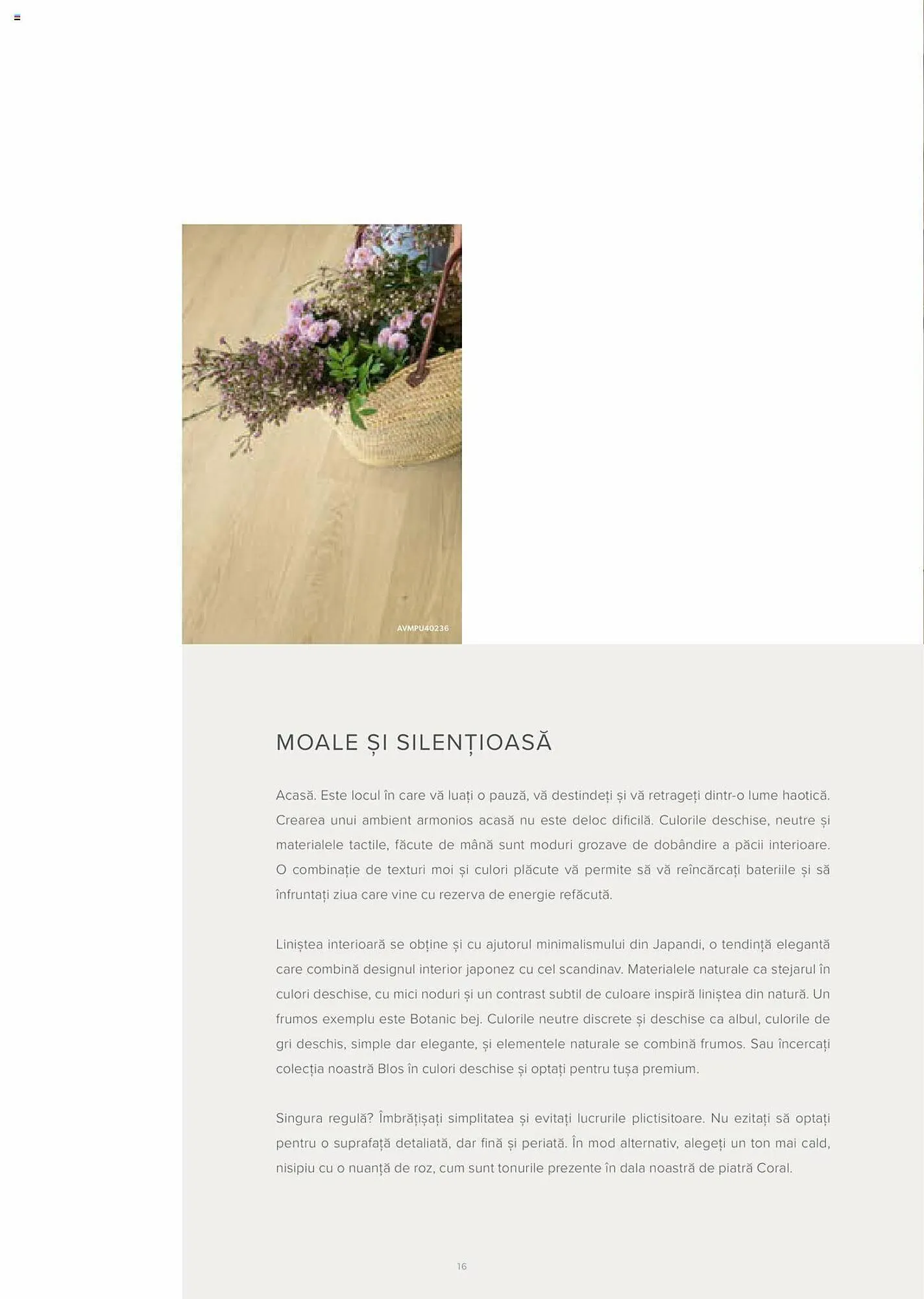 Catalog Proges catalog de la 1 ianuarie până la 31 decembrie 2023 - Revista Pagina 19