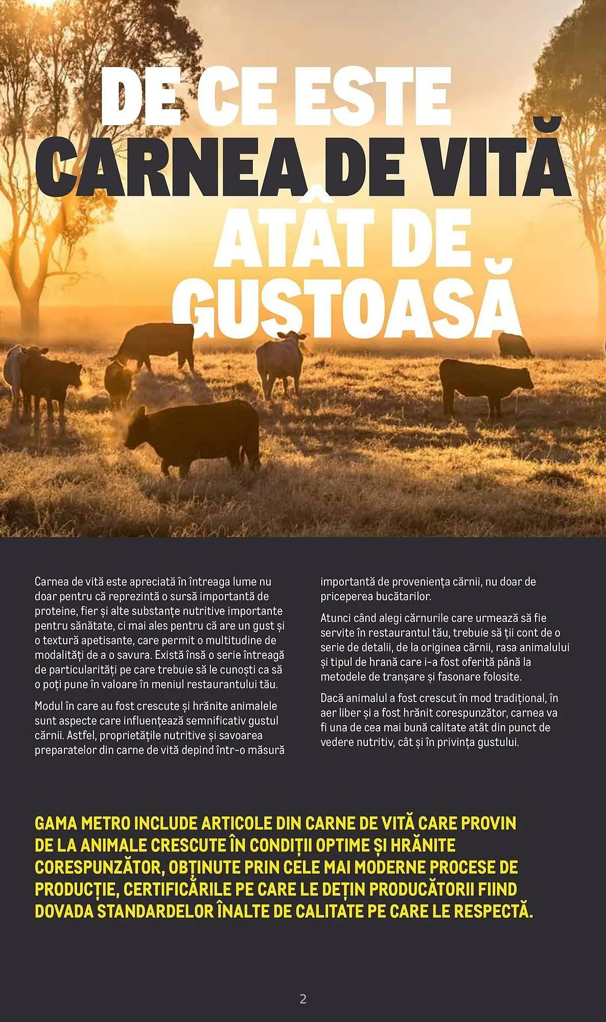 Catalog Catalog Metro de la 9 aprilie până la 31 decembrie 2025 - Revista Pagina 2