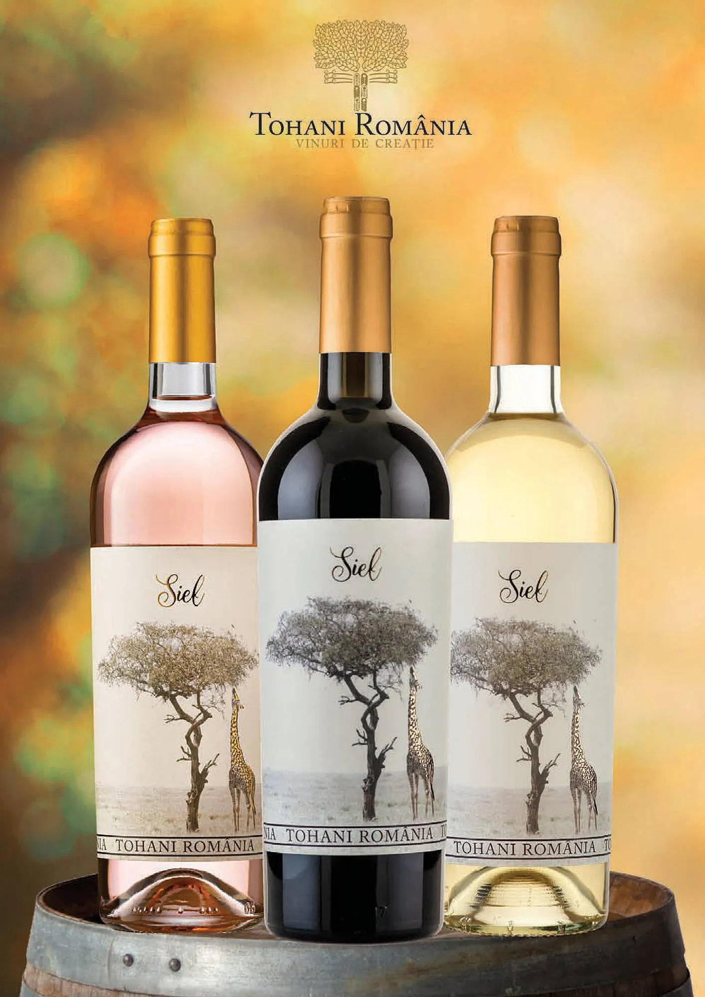 Catalog Catalog Mega Image de la 1 octombrie până la 31 octombrie 2025 - Revista Pagina 16