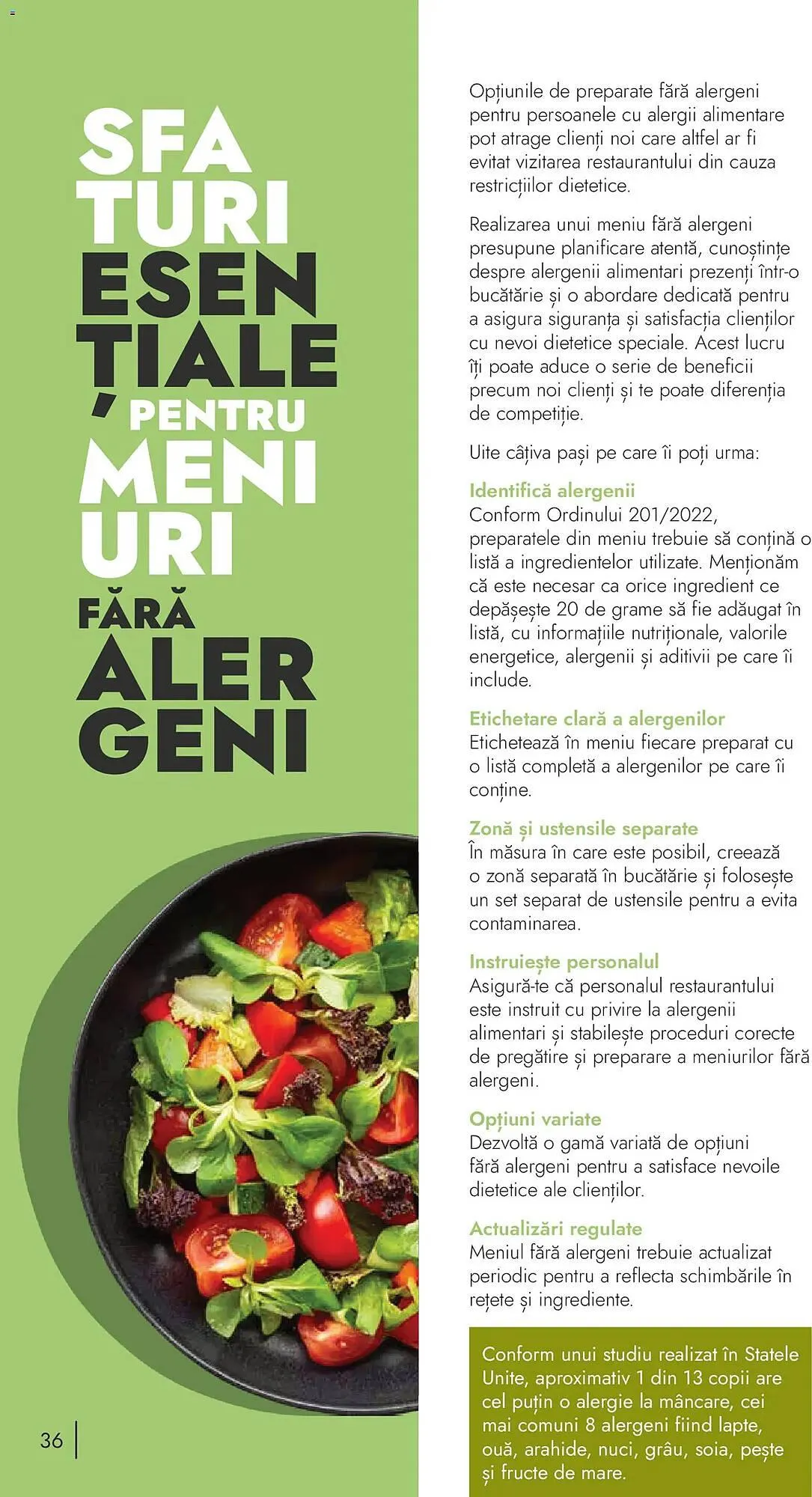 Catalog Catalog Metro de la 9 noiembrie până la 31 decembrie 2026 - Revista Pagina 36