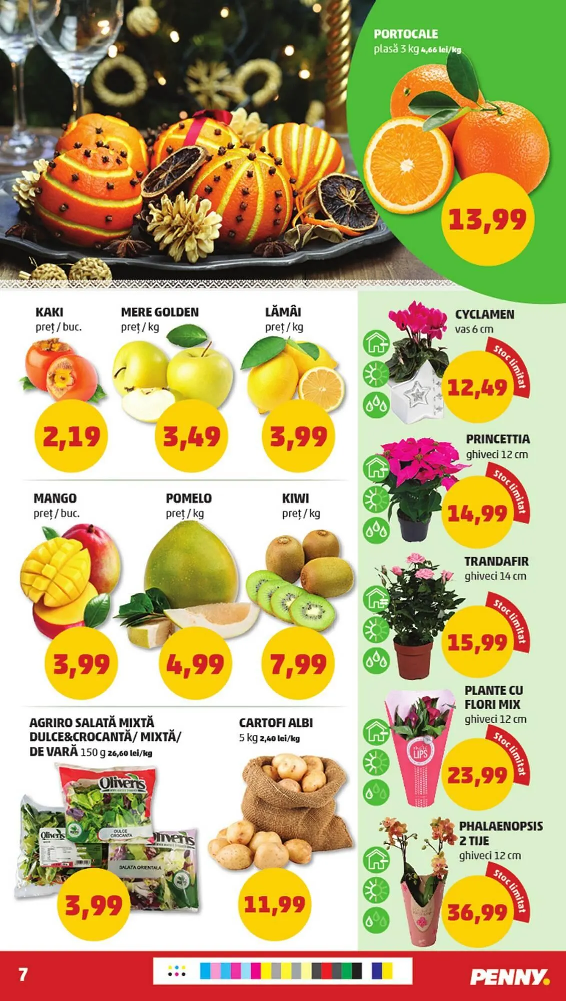 Catalog Penny catalog de la 6 decembrie până la 12 decembrie 2023 - Revista Pagina 7