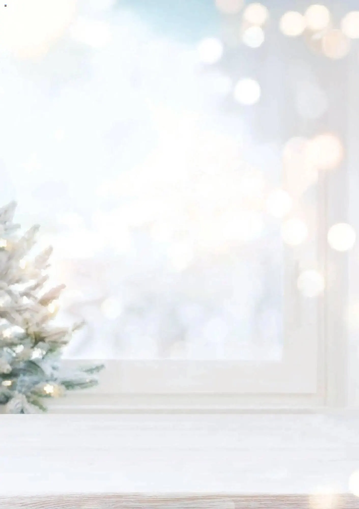 Catalog Catalog Selgros de la 6 noiembrie până la 23 decembrie 2025 - Revista Pagina 2