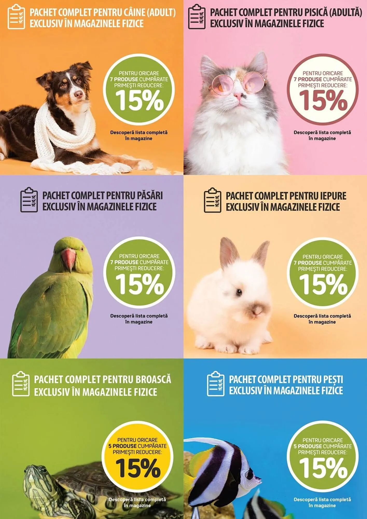 Catalog Magazine Animax de la 1 octombrie până la 31 octombrie 2025 - Revista Pagina 21