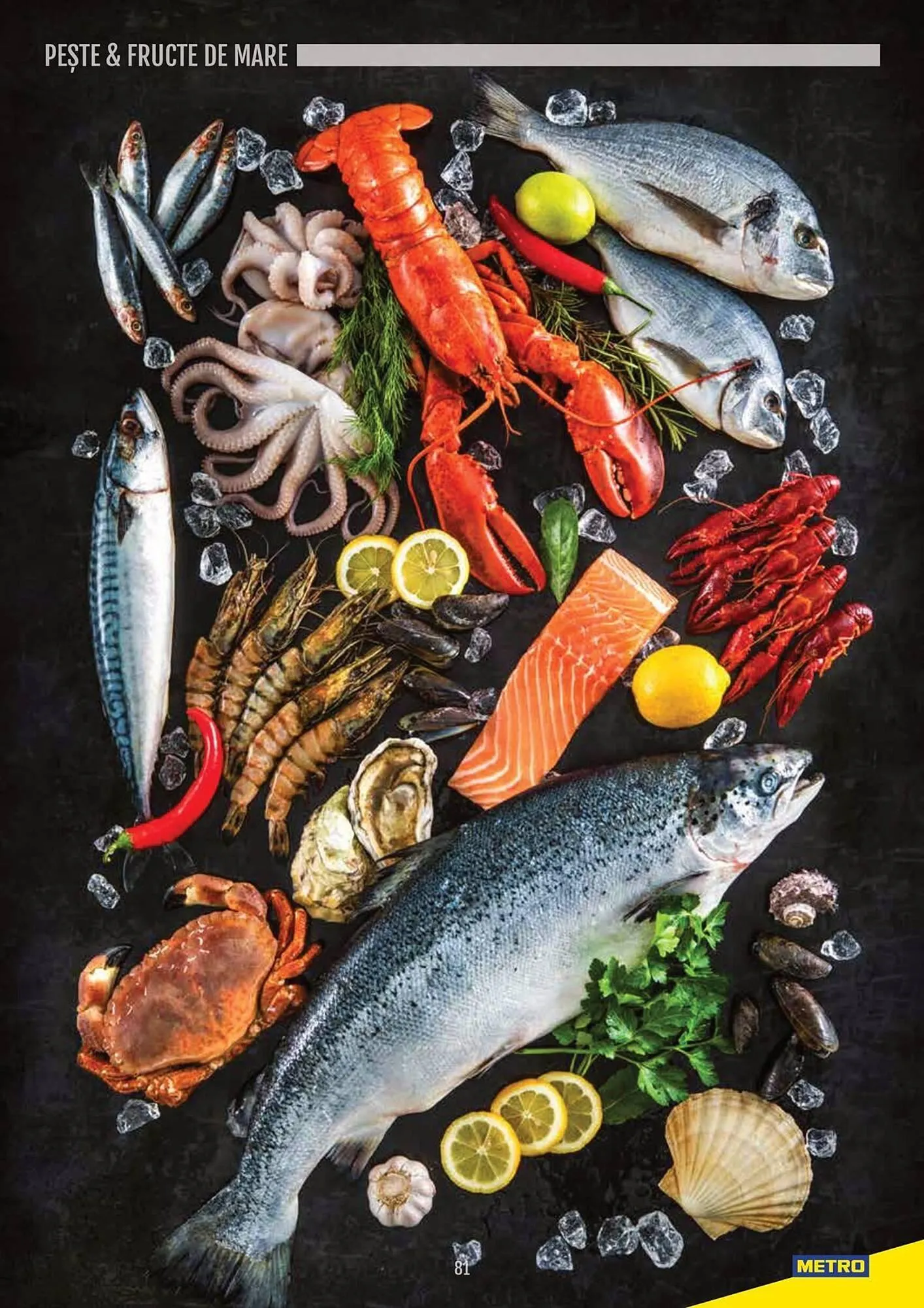 Catalog Catalog Metro de la 9 aprilie până la 31 decembrie 2025 - Revista Pagina 81