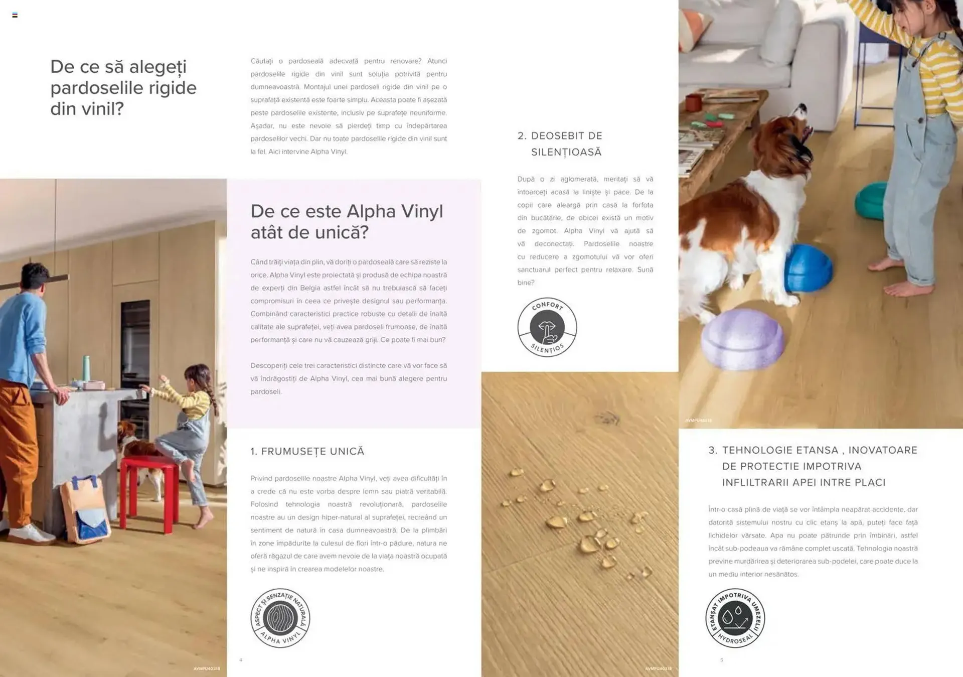 Catalog Catalog Proges de la 19 decembrie până la 30 noiembrie 2026 - Revista Pagina 4