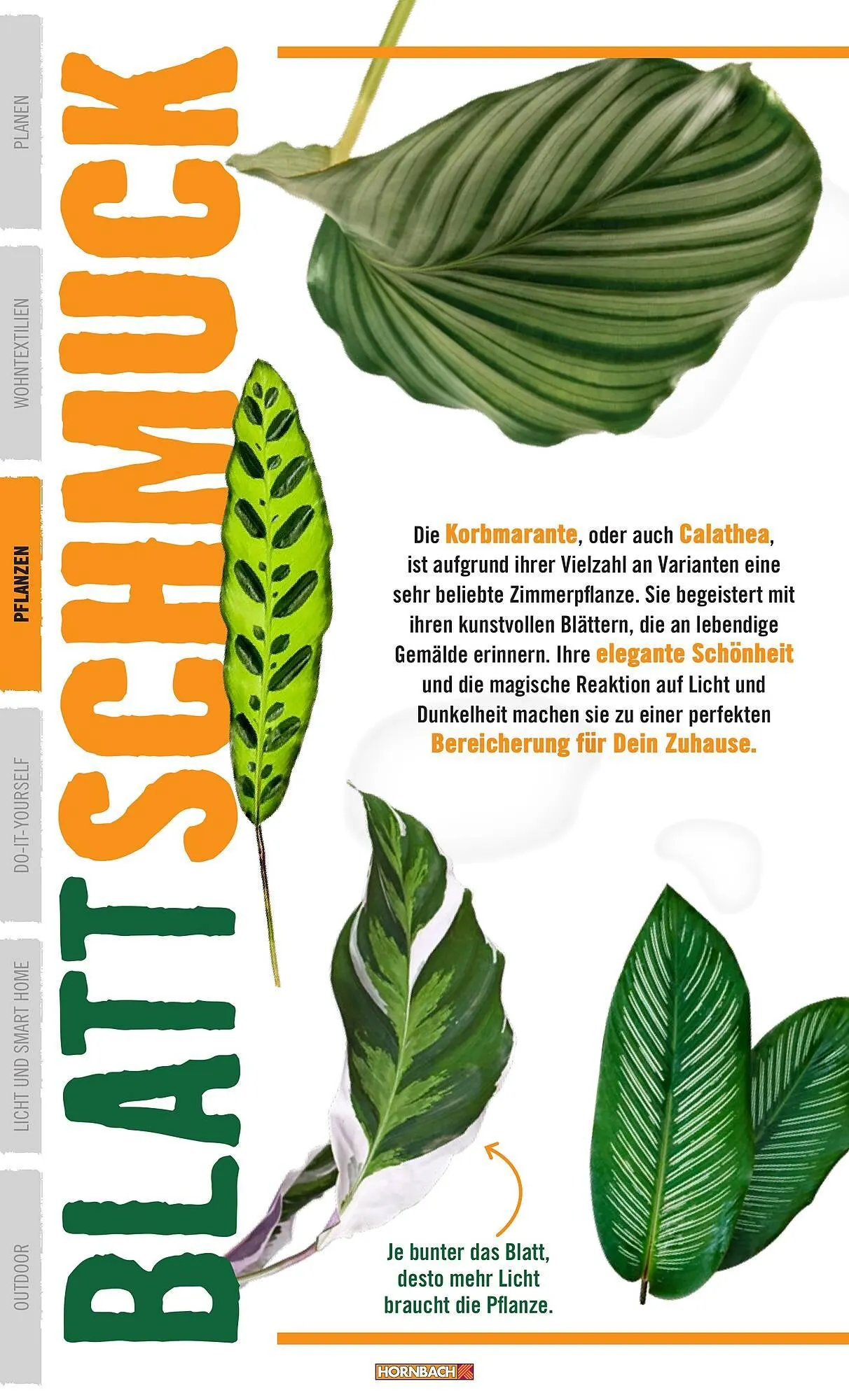 Catalog Сatalog Hornbach de la 21 iunie până la 31 decembrie 2024 - Revista Pagina 22