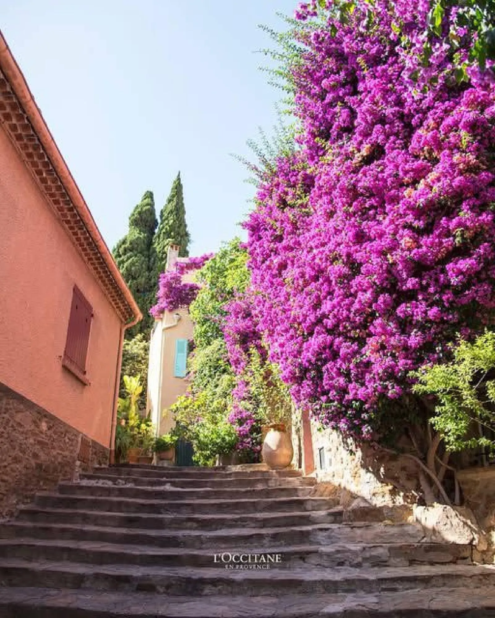 Catalog LOCCITANE - 1