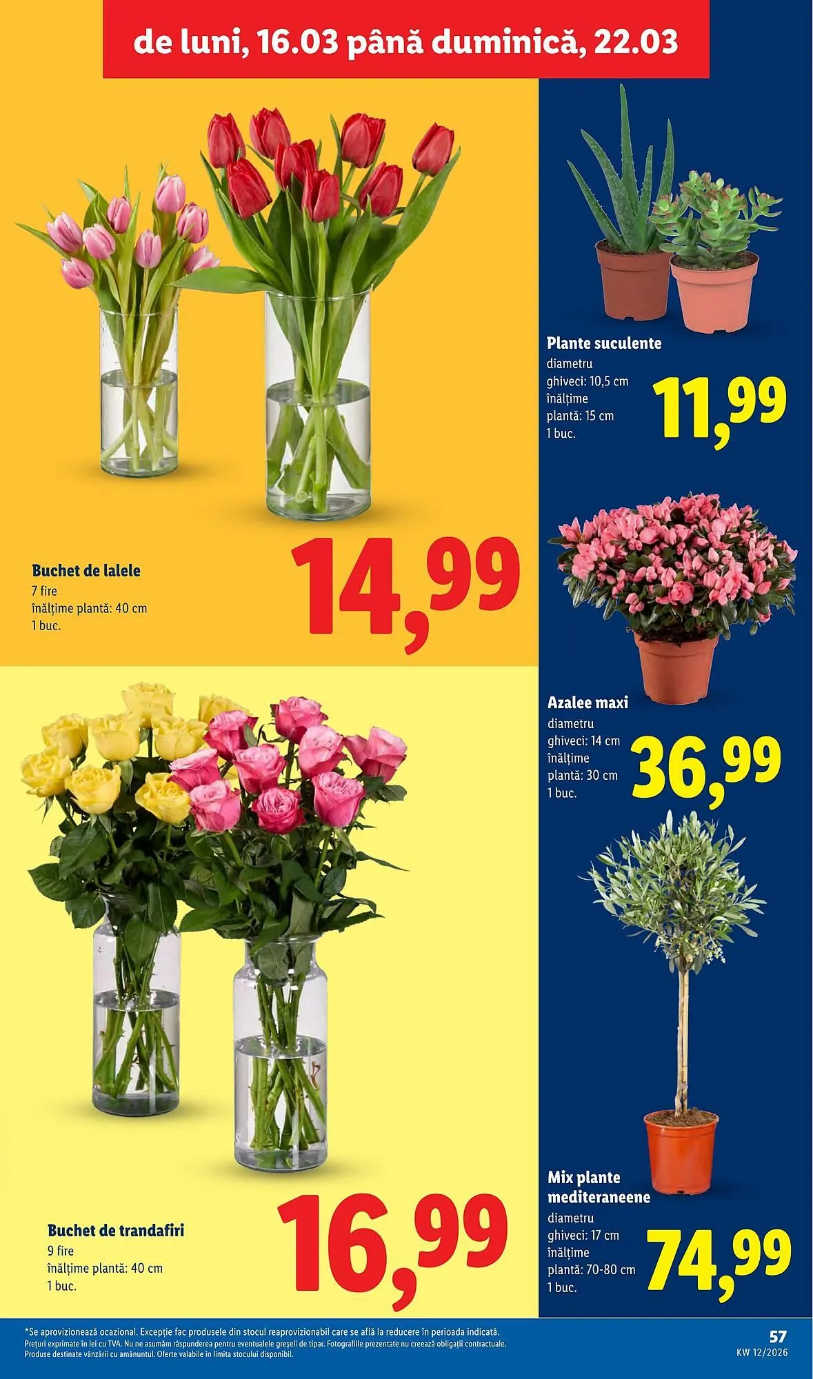 Catalog Catalog Lidl de la 16 martie până la 22 martie 2026 - Revista Pagina 57