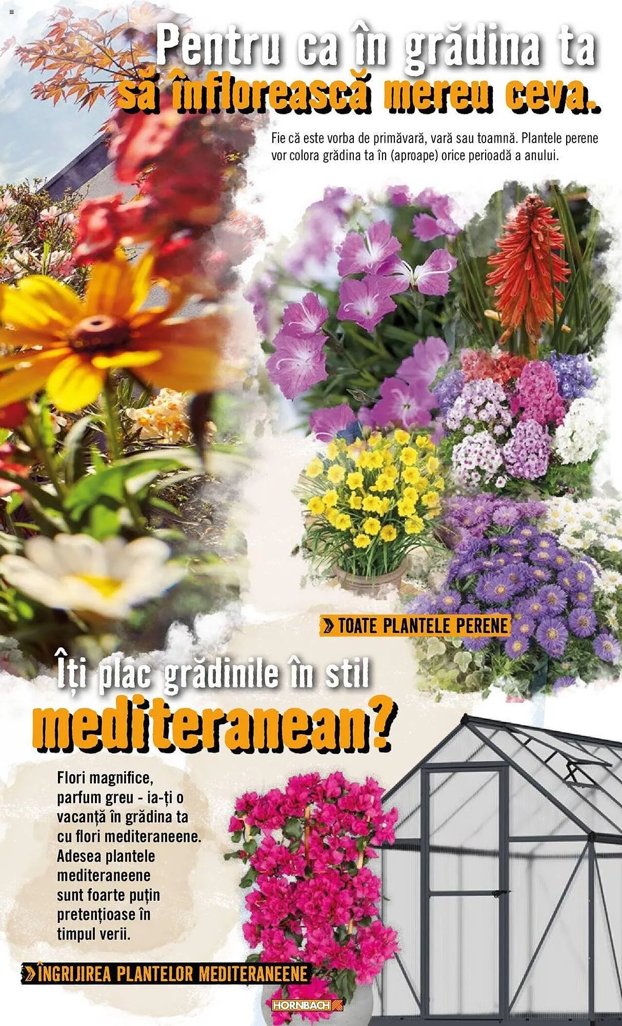Catalog Сatalog Hornbach de la 22 aprilie până la 31 decembrie 2024 - Revista Pagina 25