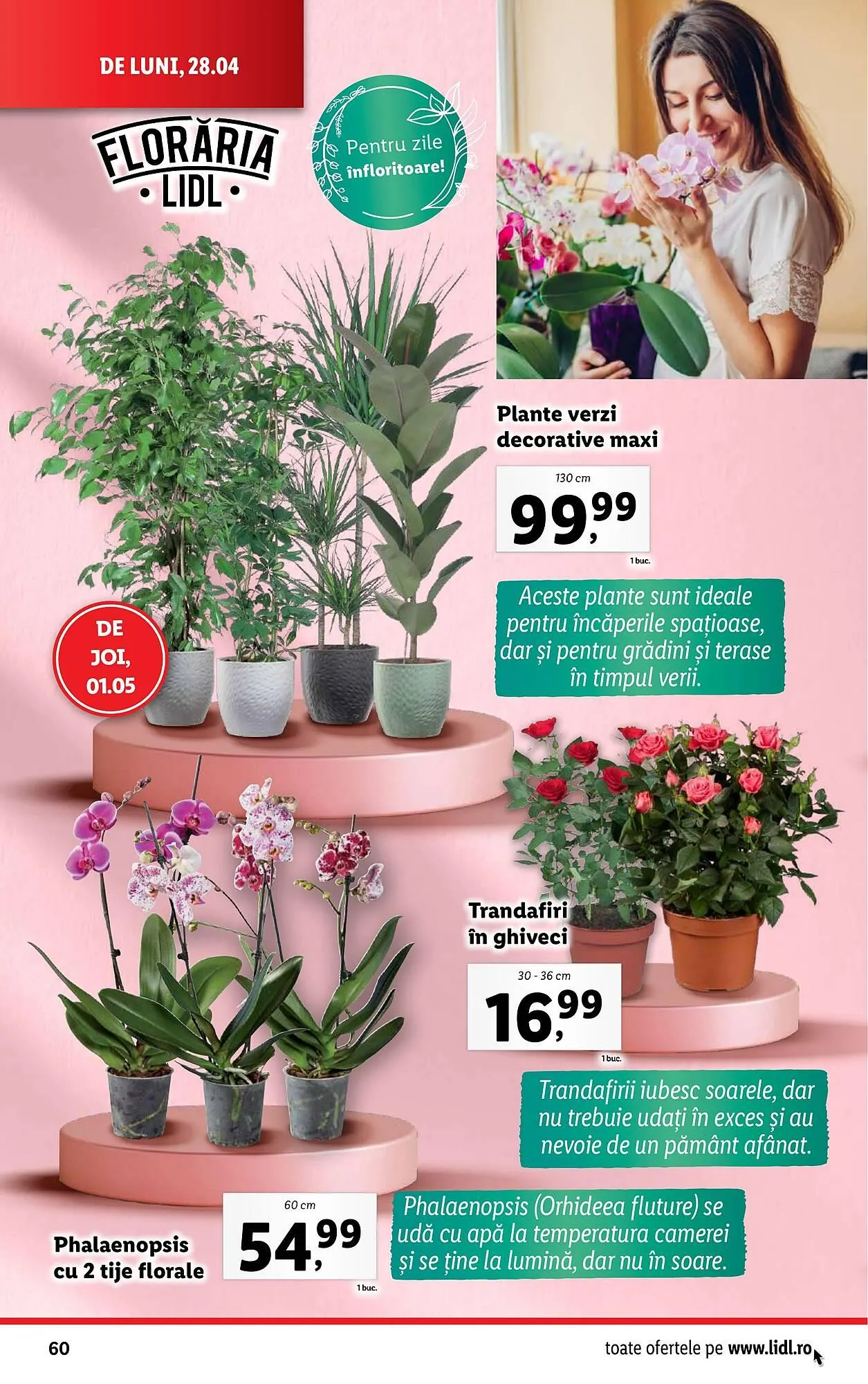 Catalog Catalog Lidl de la 22 aprilie până la 27 aprilie 2025 - Revista Pagina 60