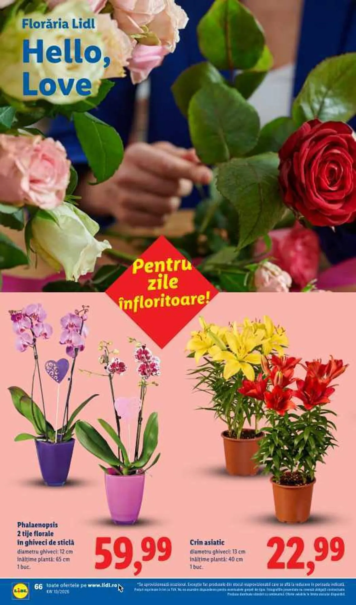 Catalog Catalog Lidl de la 2 martie până la 8 martie 2026 - Revista Pagina 66