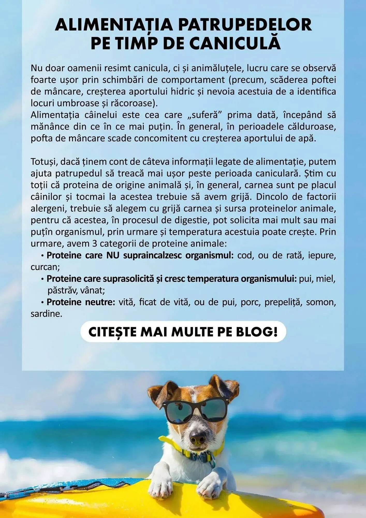 Catalog Animax catalog de la 31 mai până la 30 iunie 2024 - Revista Pagina 6