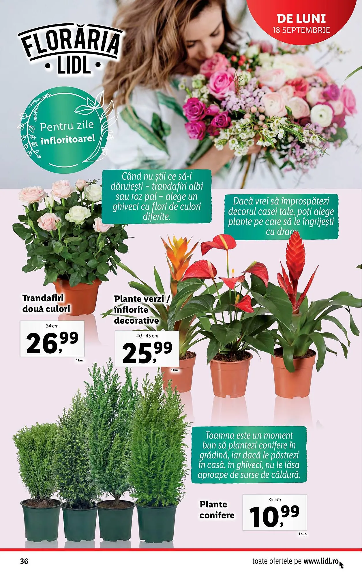 Catalog Lidl catalog de la 18 septembrie până la 24 septembrie 2023 - Revista Pagina 36