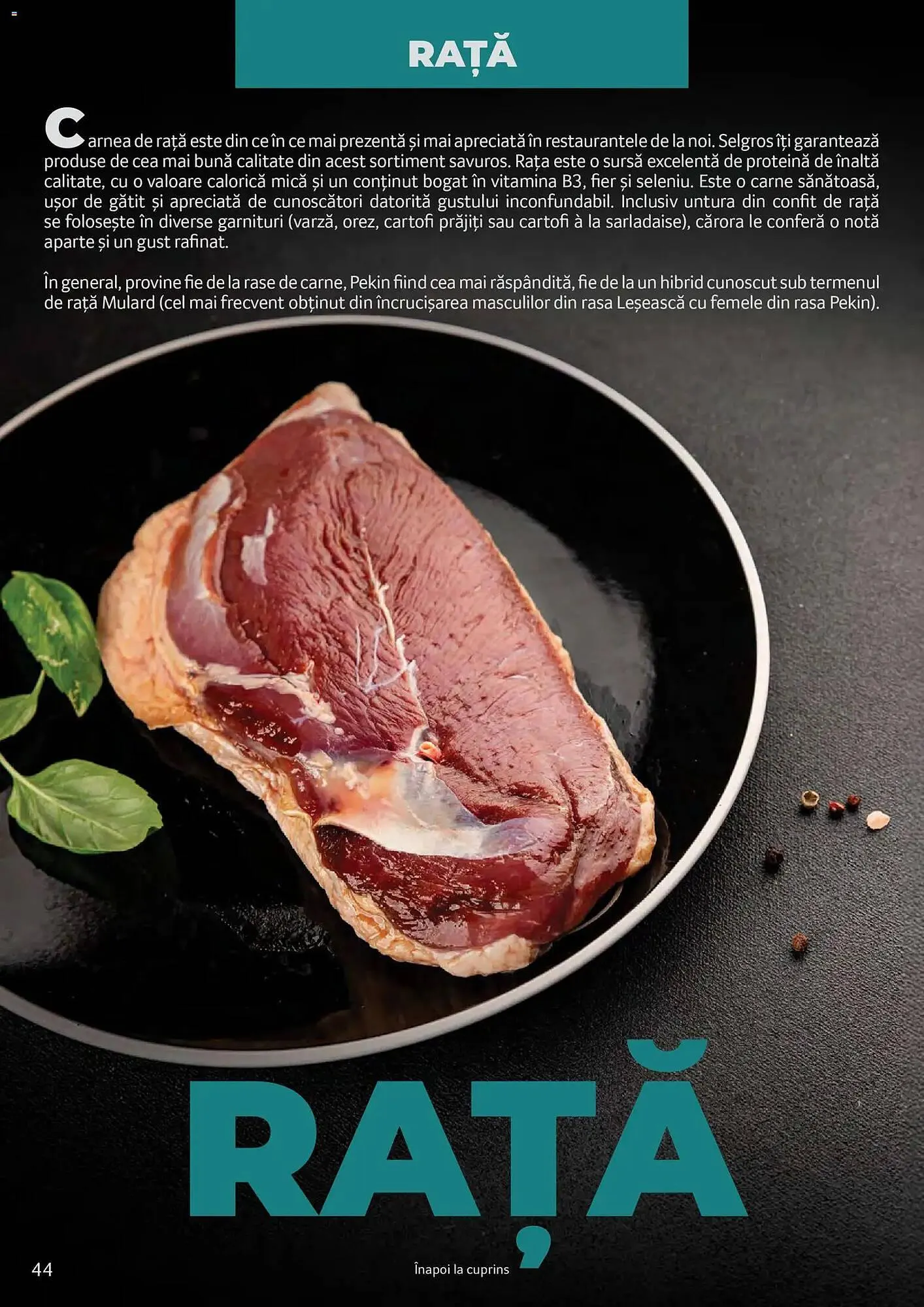 Catalog Catalog Selgros de la 24 martie până la 31 martie 2027 - Revista Pagina 44