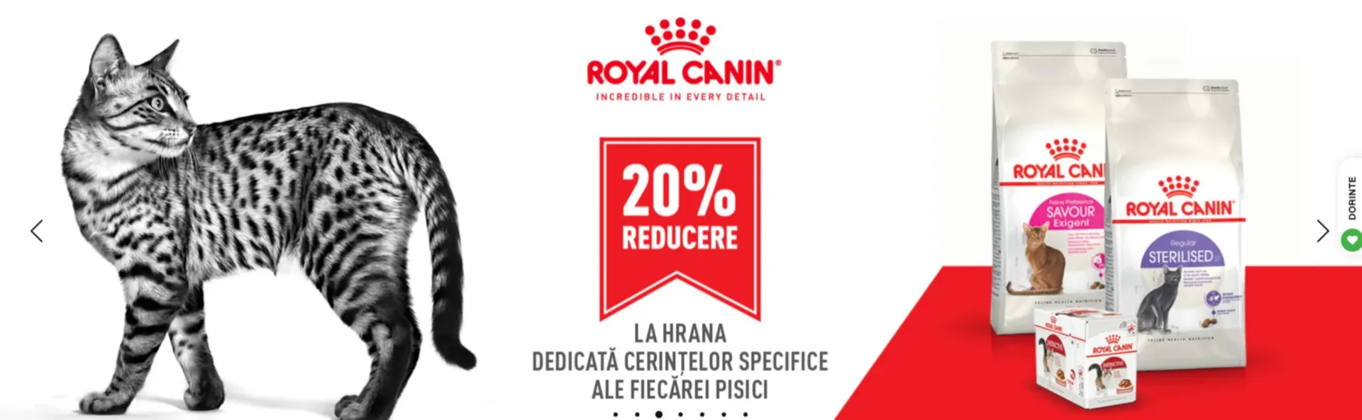 Catalog Catalog Animax de la 12 februarie până la 3 martie 2025 - Revista Pagina 3