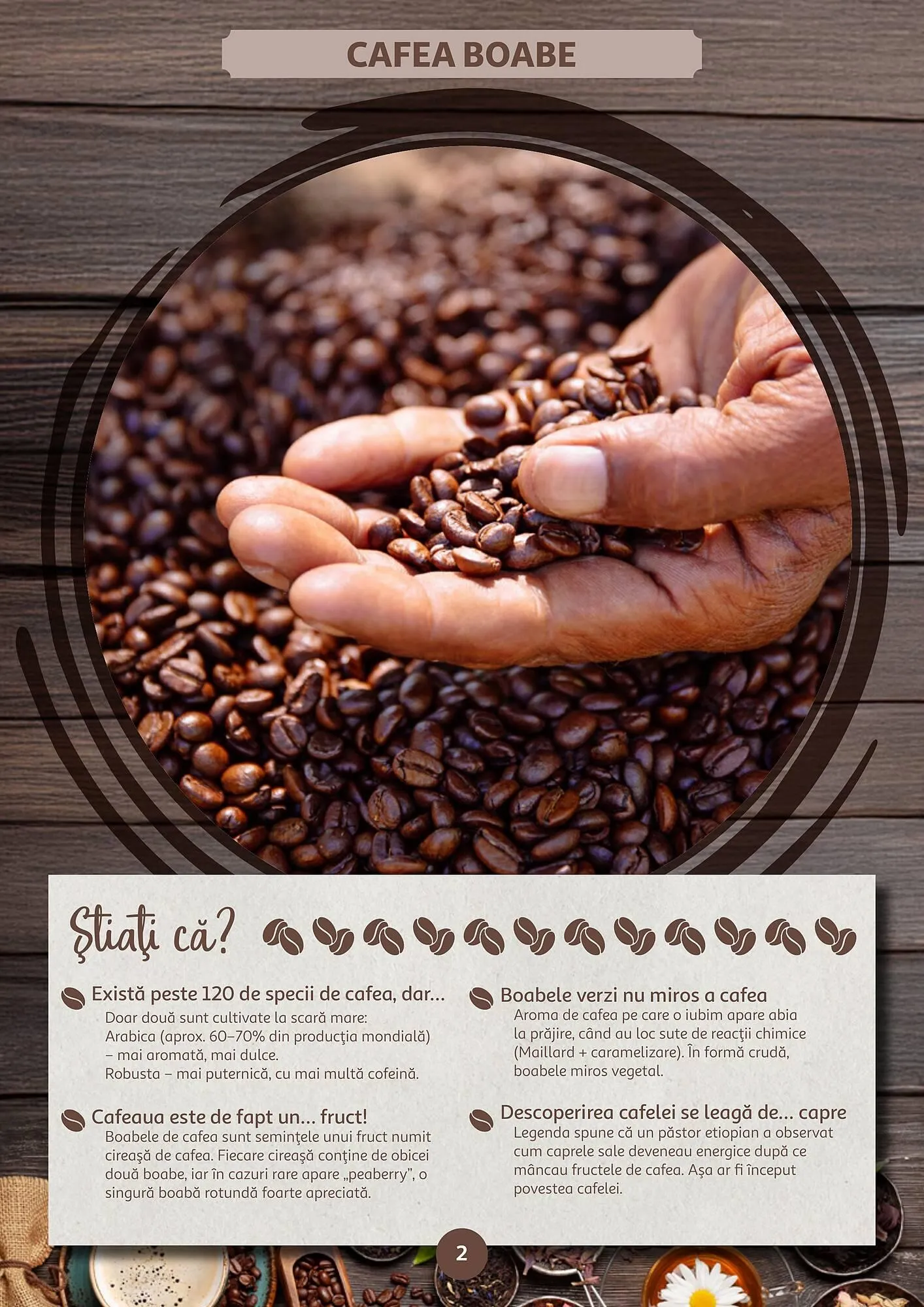 Catalog Catalog Auchan de la 14 ianuarie până la 10 februarie 2026 - Revista Pagina 2