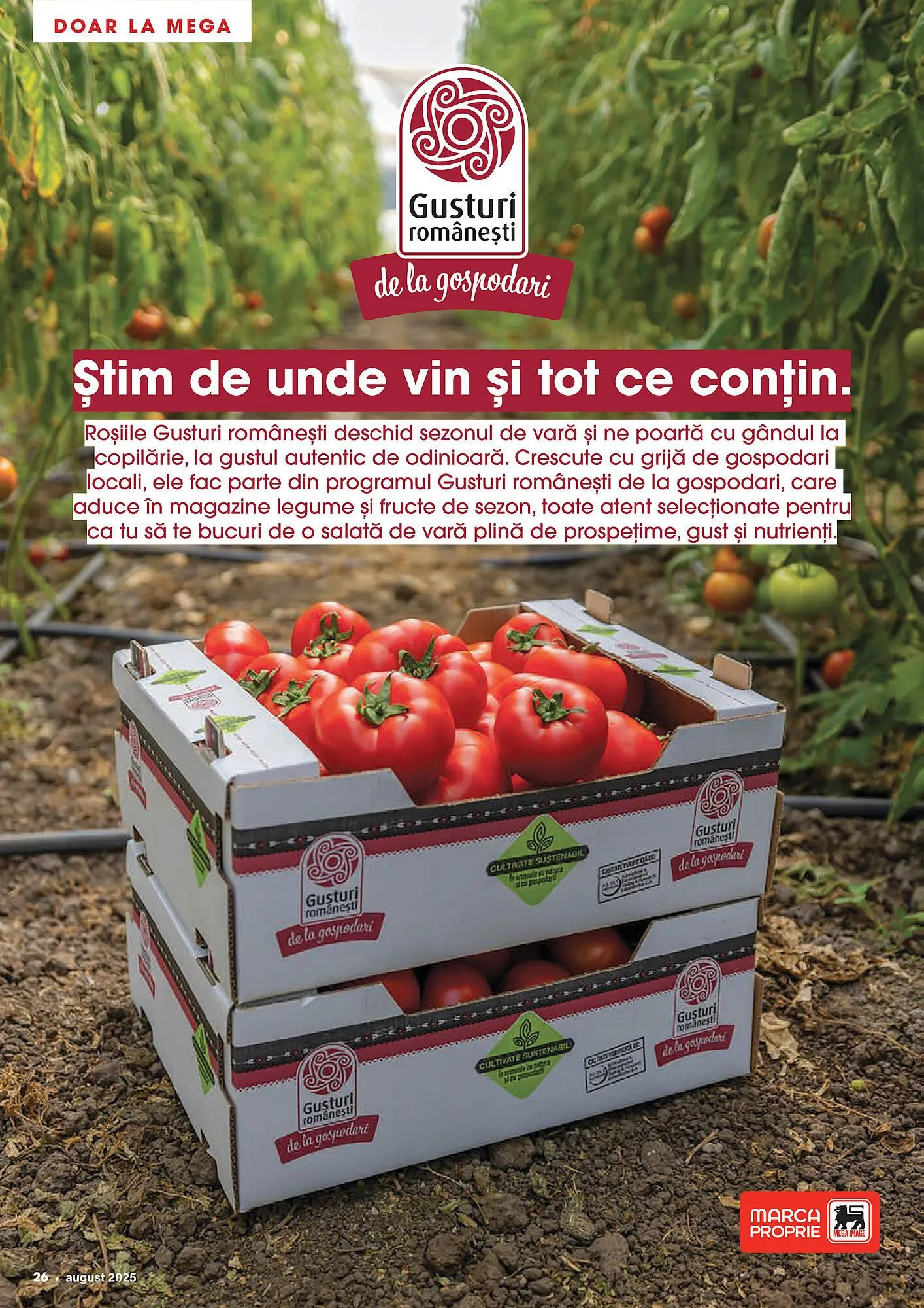 Catalog Catalog Mega Image de la 1 august până la 31 august 2025 - Revista Pagina 26