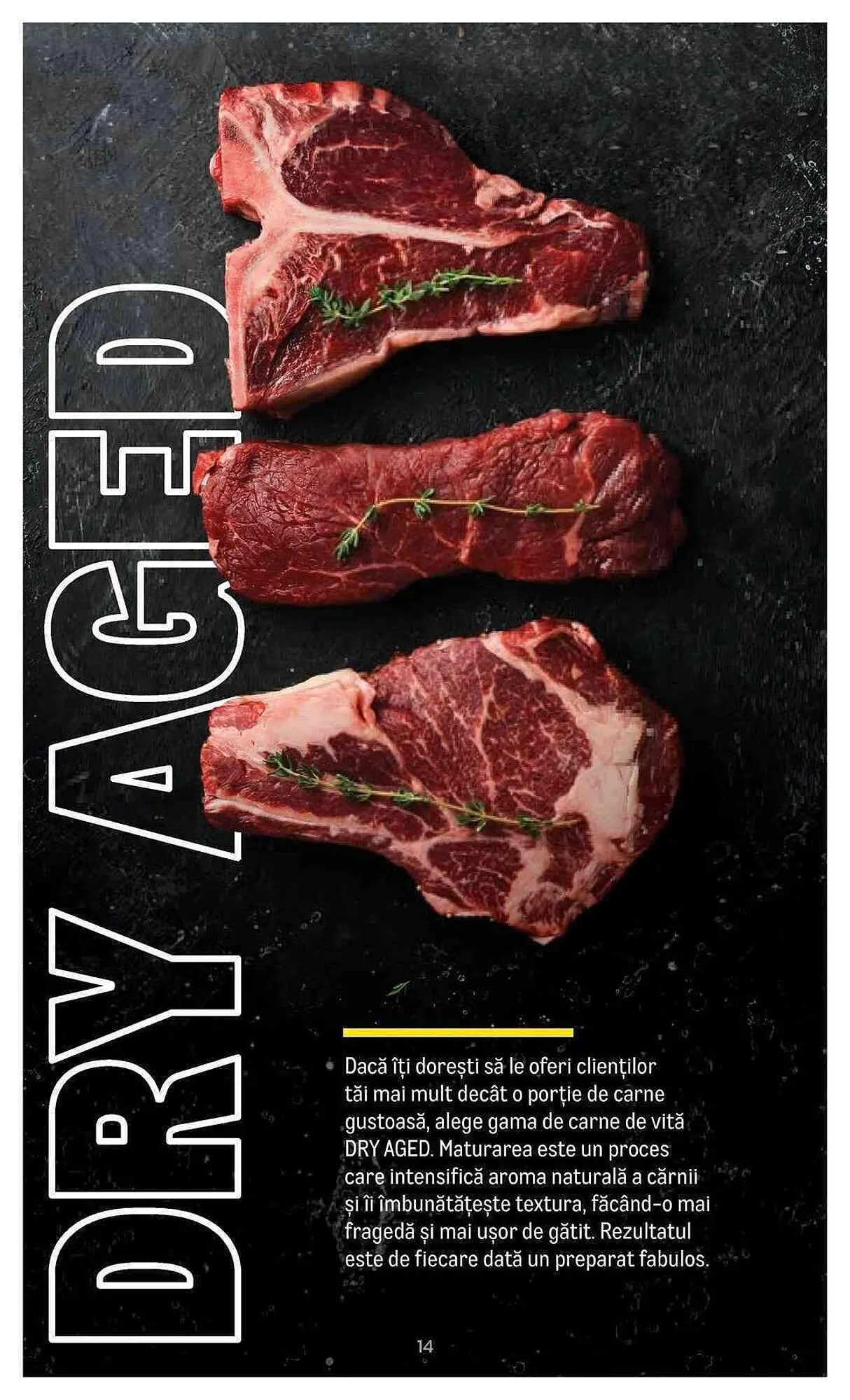 Catalog Metro catalog de la 20 iulie până la 31 decembrie 2023 - Revista Pagina 14