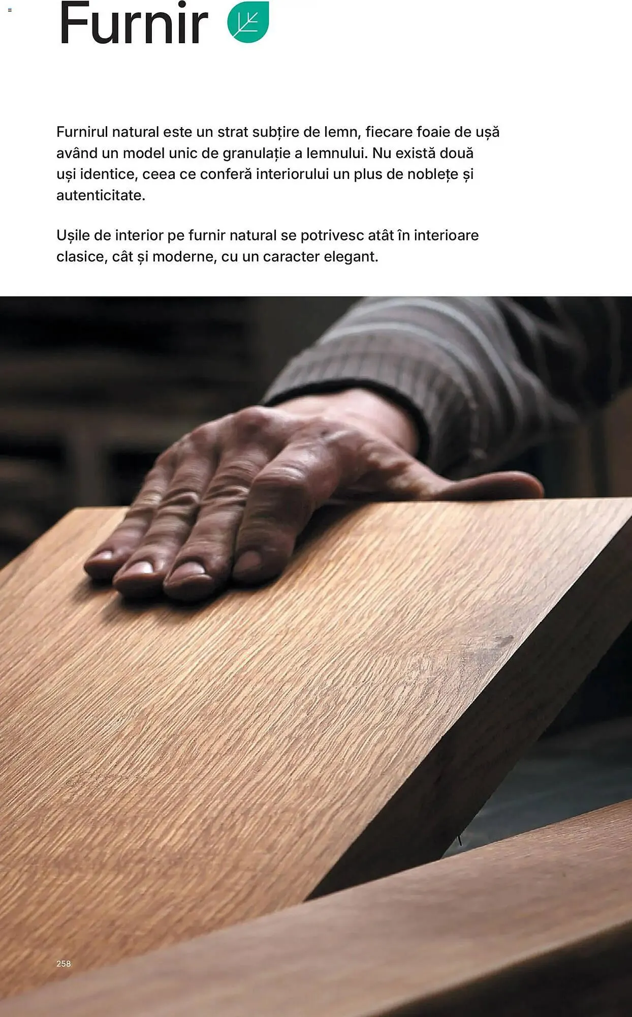 Catalog Catalog Proges de la 12 februarie până la 28 februarie 2027 - Revista Pagina 261