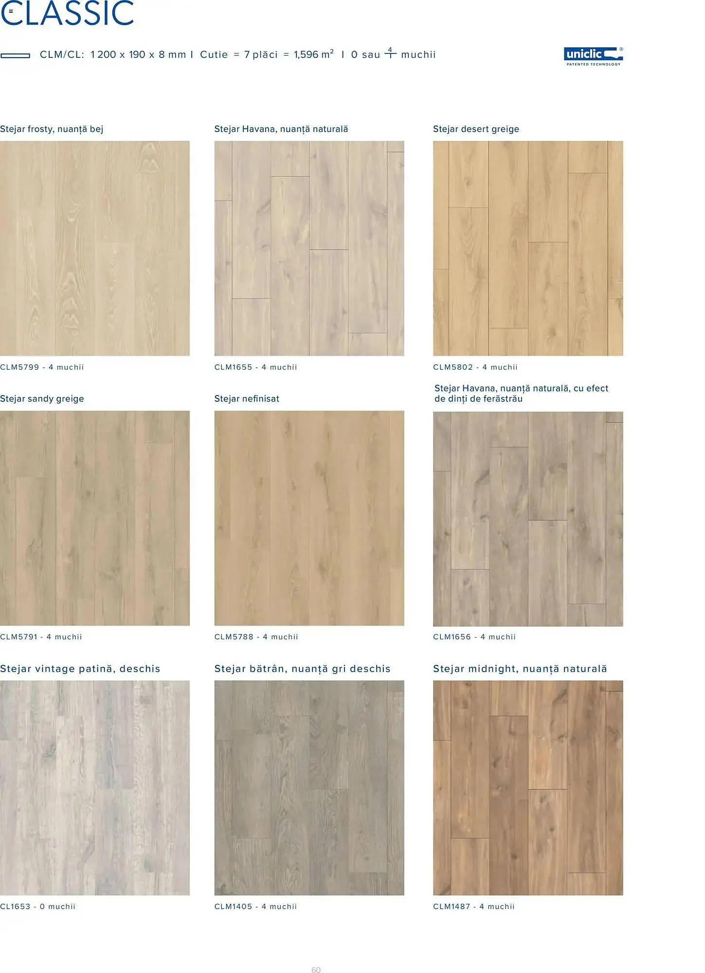 Catalog Catalog Proges de la 3 noiembrie până la 31 ianuarie 2027 - Revista Pagina 60