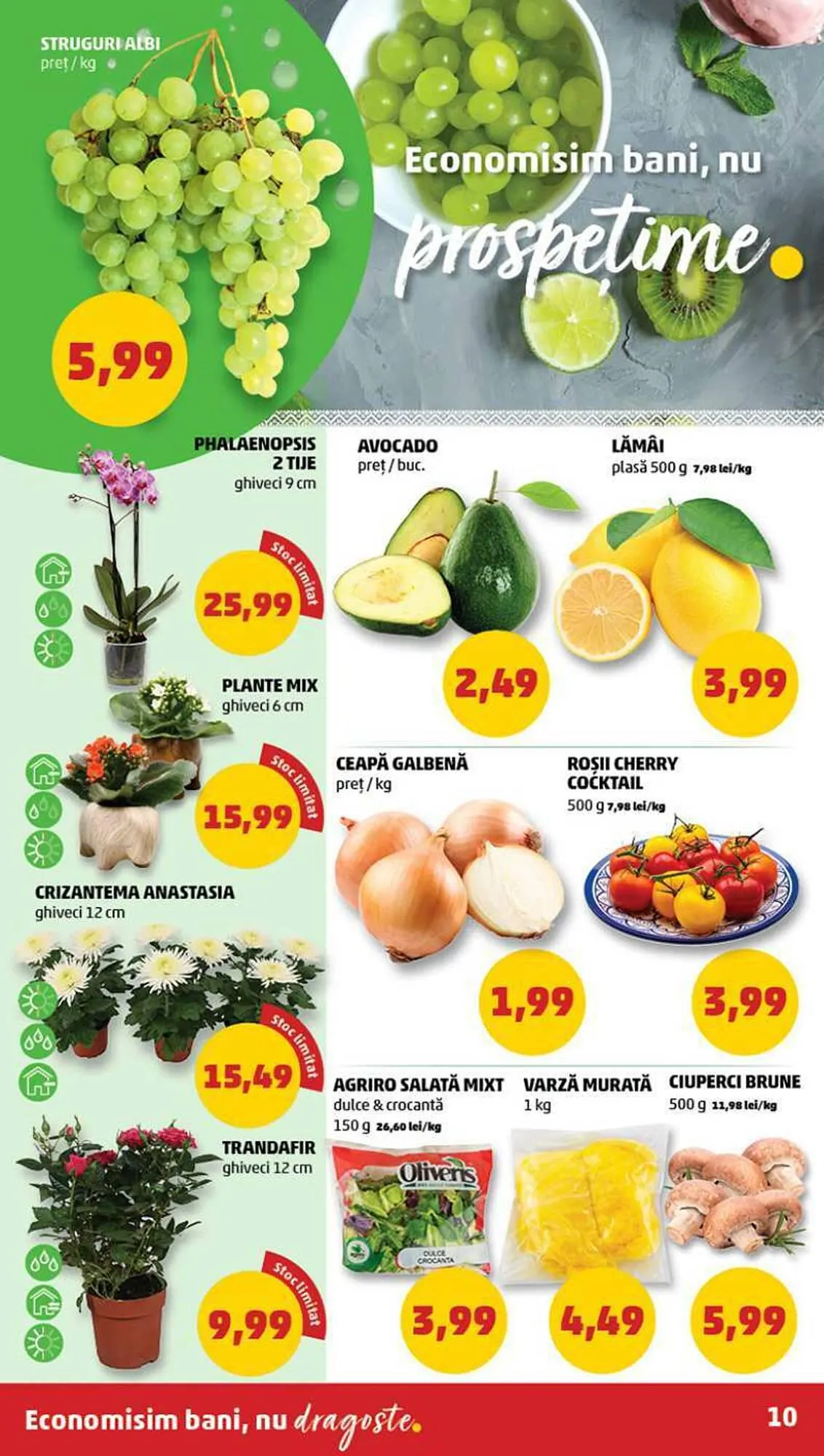 Catalog Penny catalog de la 6 septembrie până la 12 septembrie 2023 - Revista Pagina 10