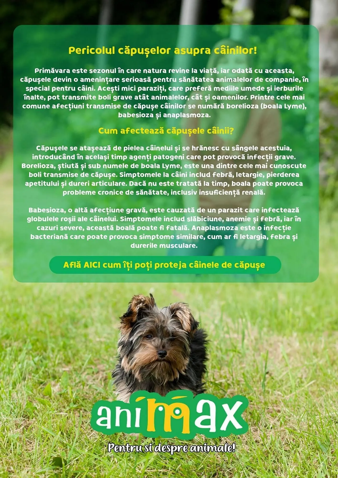 Catalog Catalog Animax de la 1 aprilie până la 30 aprilie 2025 - Revista Pagina 14