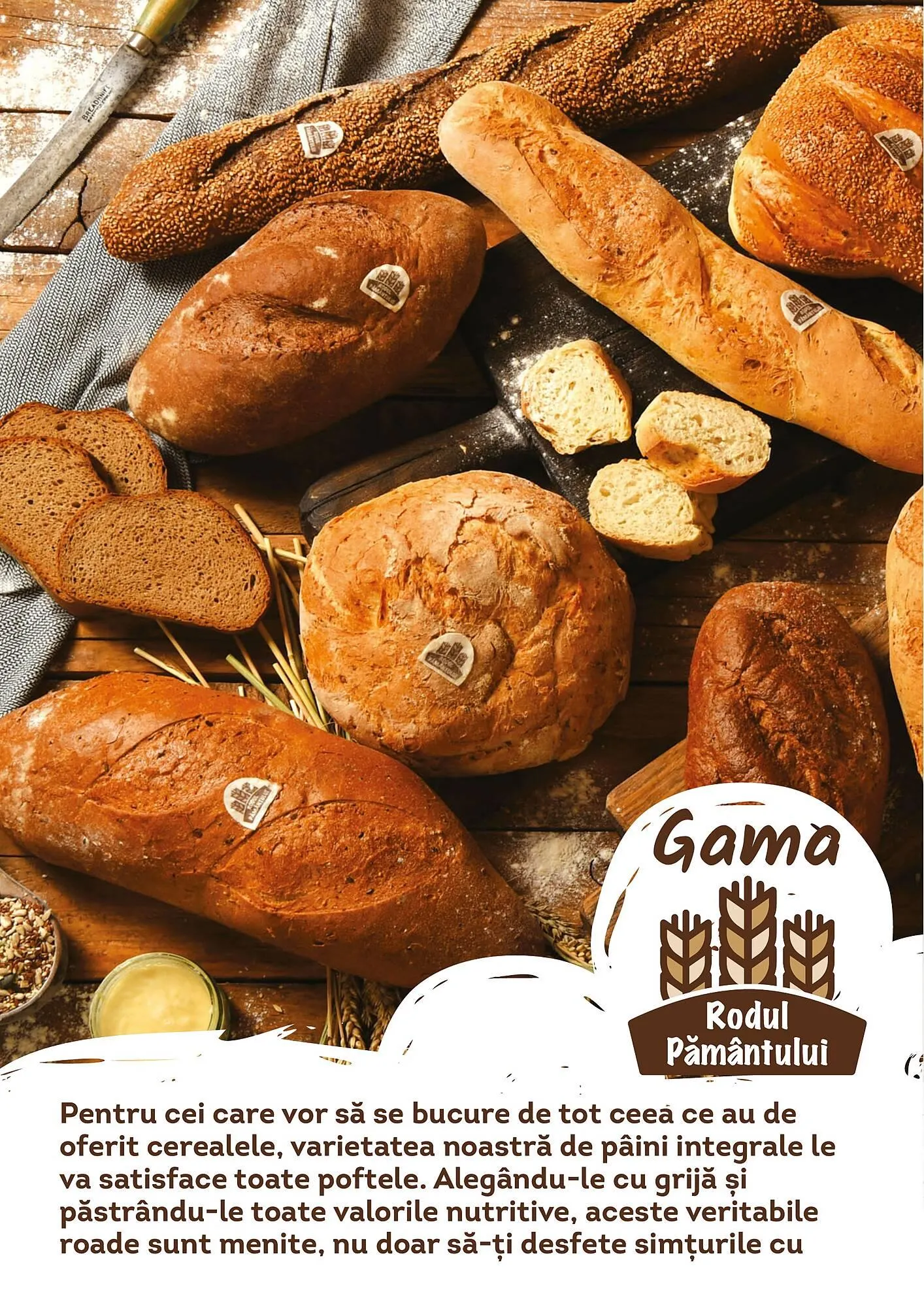 Catalog Cora catalog de la 12 iunie până la 31 decembrie 2023 - Revista Pagina 2