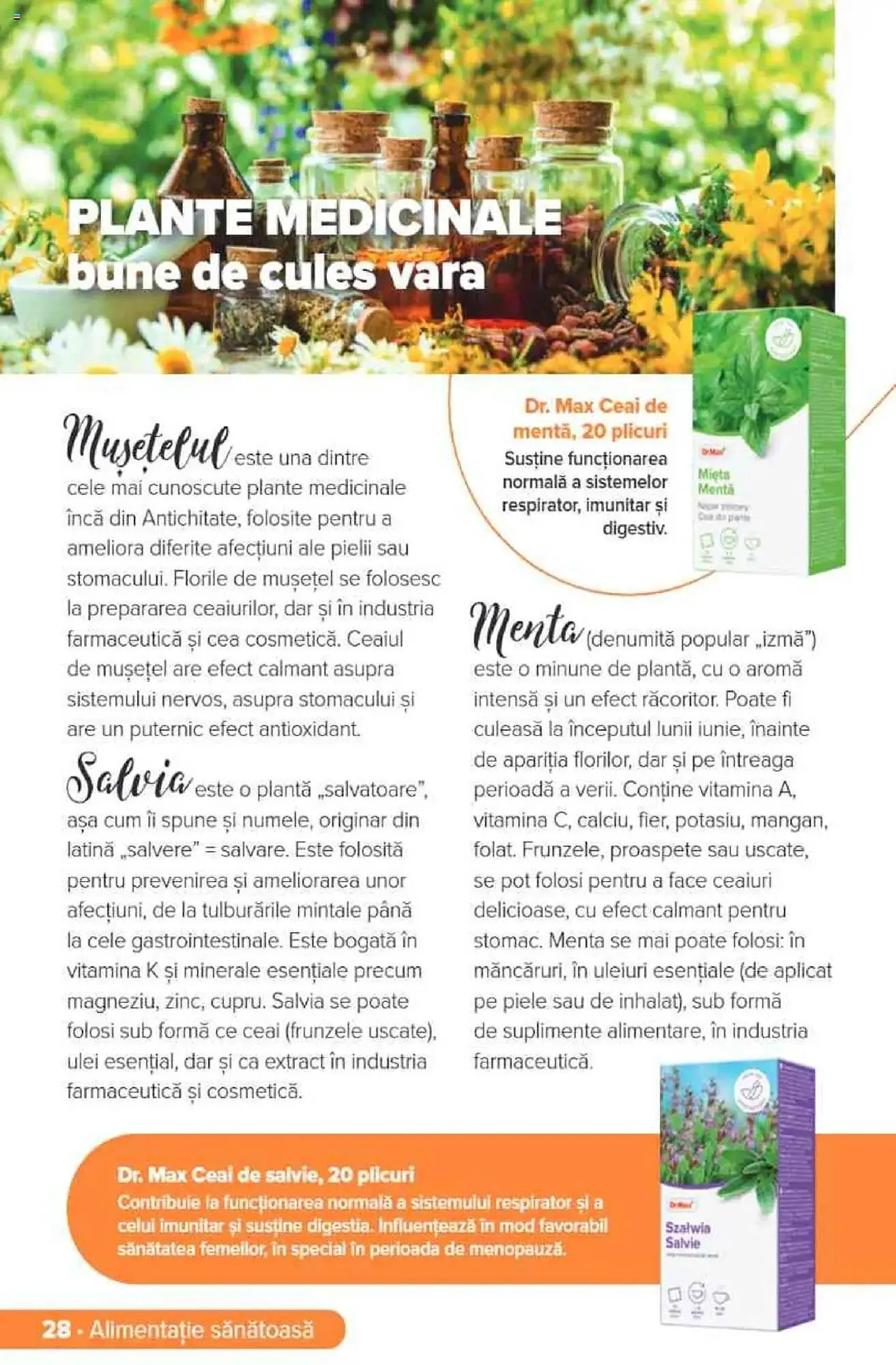 Catalog Catalog Dr.Max de la 1 iunie până la 31 august 2025 - Revista Pagina 27