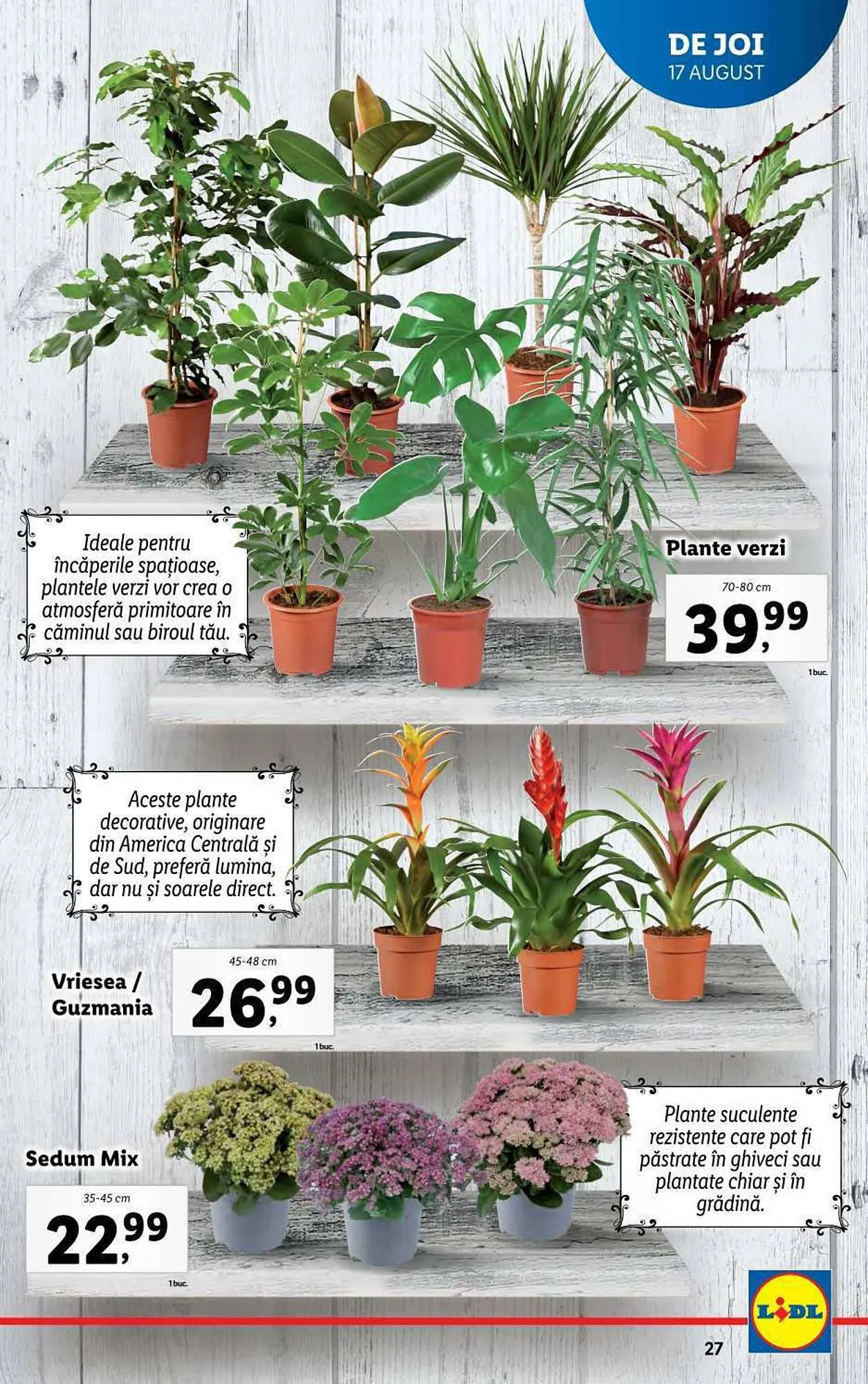 Catalog Lidl catalog de la 14 august până la 20 august 2023 - Revista Pagina 27