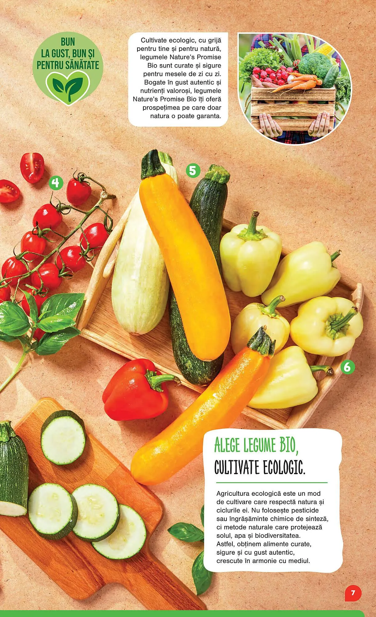 Catalog Catalog Mega Image de la 25 septembrie până la 7 ianuarie 2026 - Revista Pagina 7