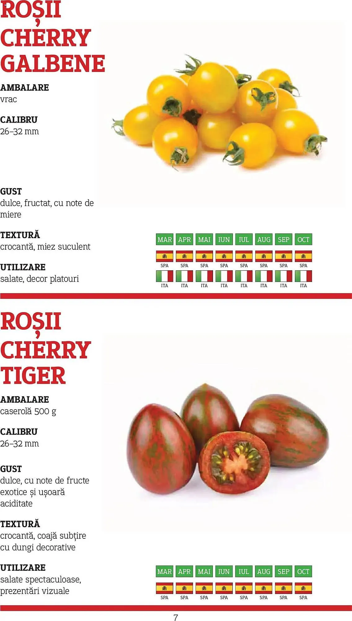 Catalog Catalog Metro de la 9 noiembrie până la 31 decembrie 2026 - Revista Pagina 7