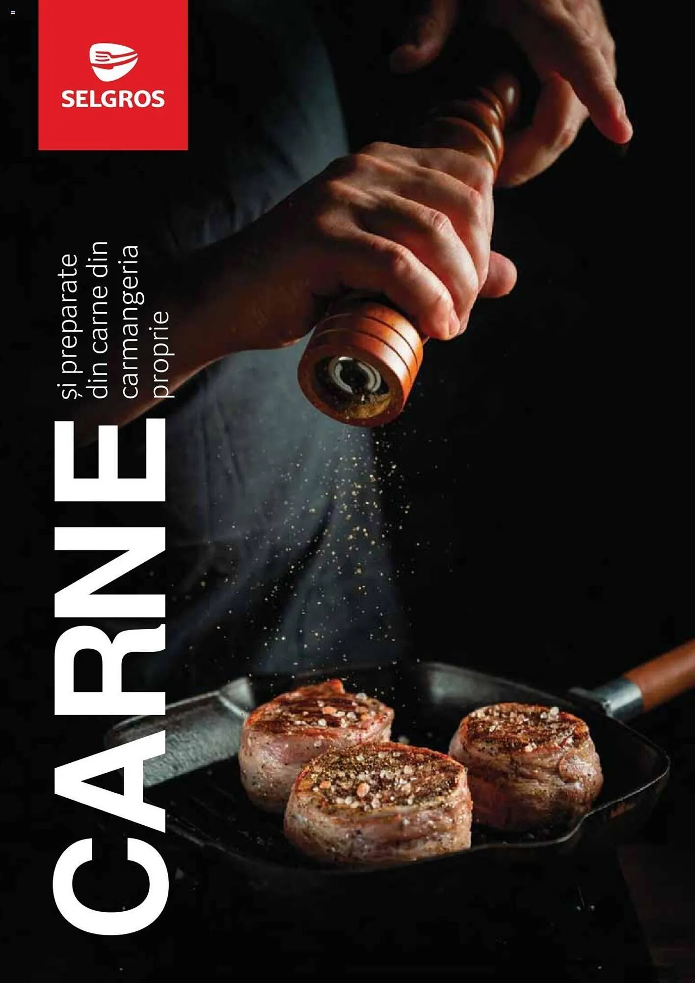 Catalog Selgros catalog de la 27 aprilie până la 31 decembrie 2023 - Revista Pagina 1