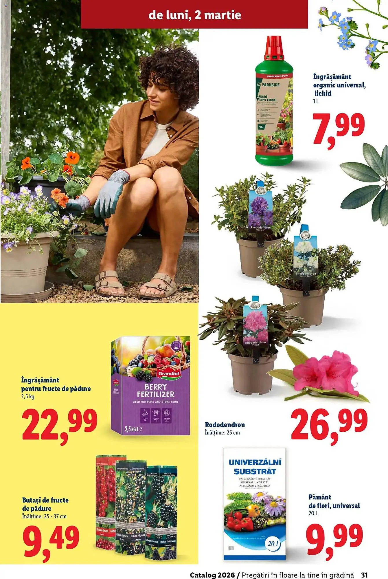Catalog Catalog Lidl de la 18 februarie până la 5 aprilie 2026 - Revista Pagina 31