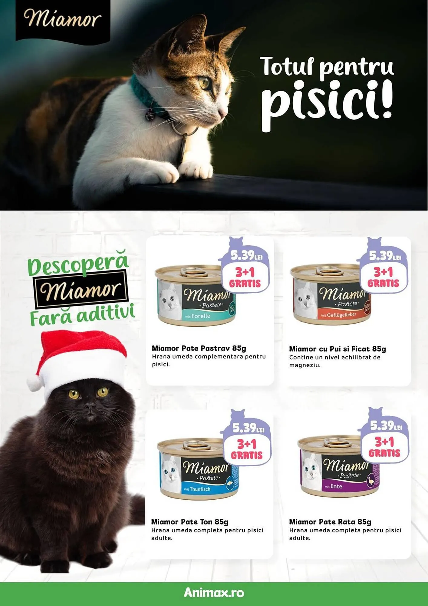 Catalog Magazine Animax de la 4 decembrie până la 4 ianuarie 2026 - Revista Pagina 18