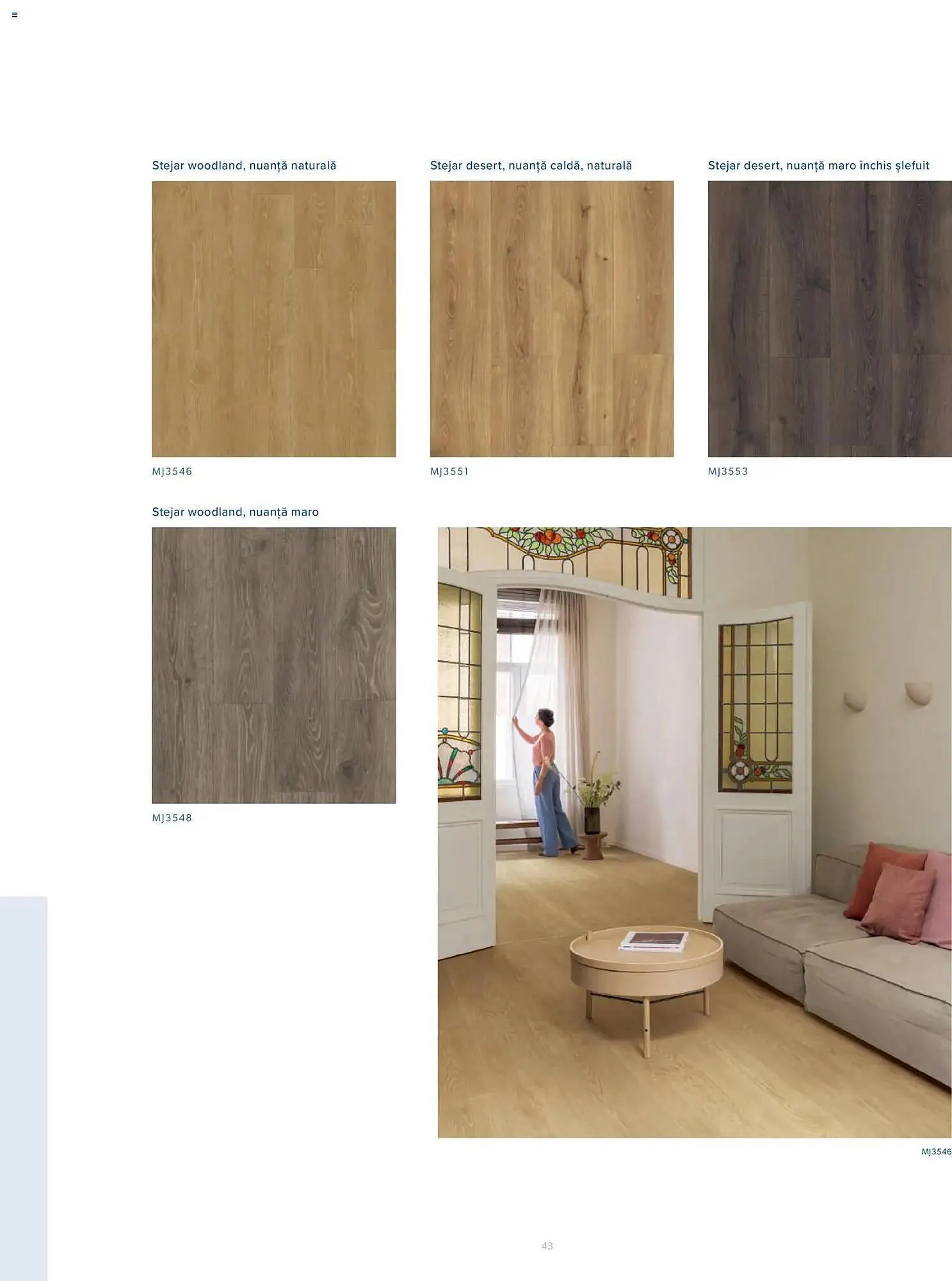 Catalog Catalog Proges de la 3 noiembrie până la 31 ianuarie 2027 - Revista Pagina 43