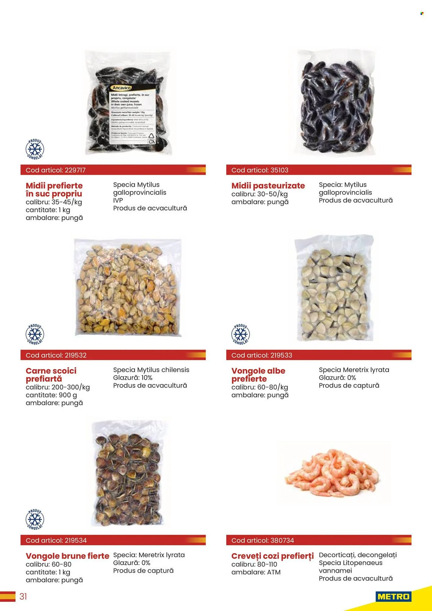 Catalog Catalog Metro de la 30 martie până la 31 decembrie 2026 - Revista Pagina 31