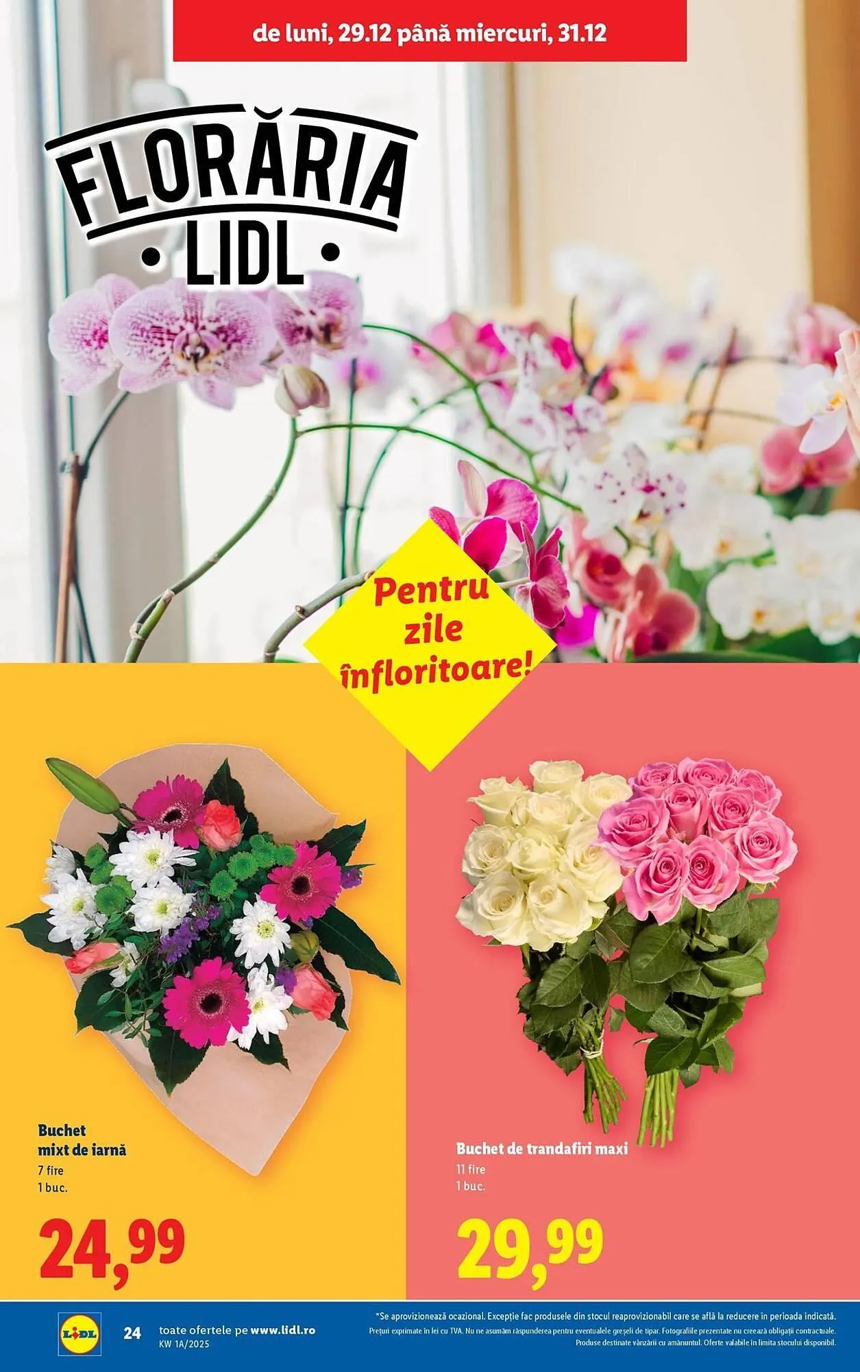 Catalog Catalog Lidl de la 27 decembrie până la 31 decembrie 2025 - Revista Pagina 24