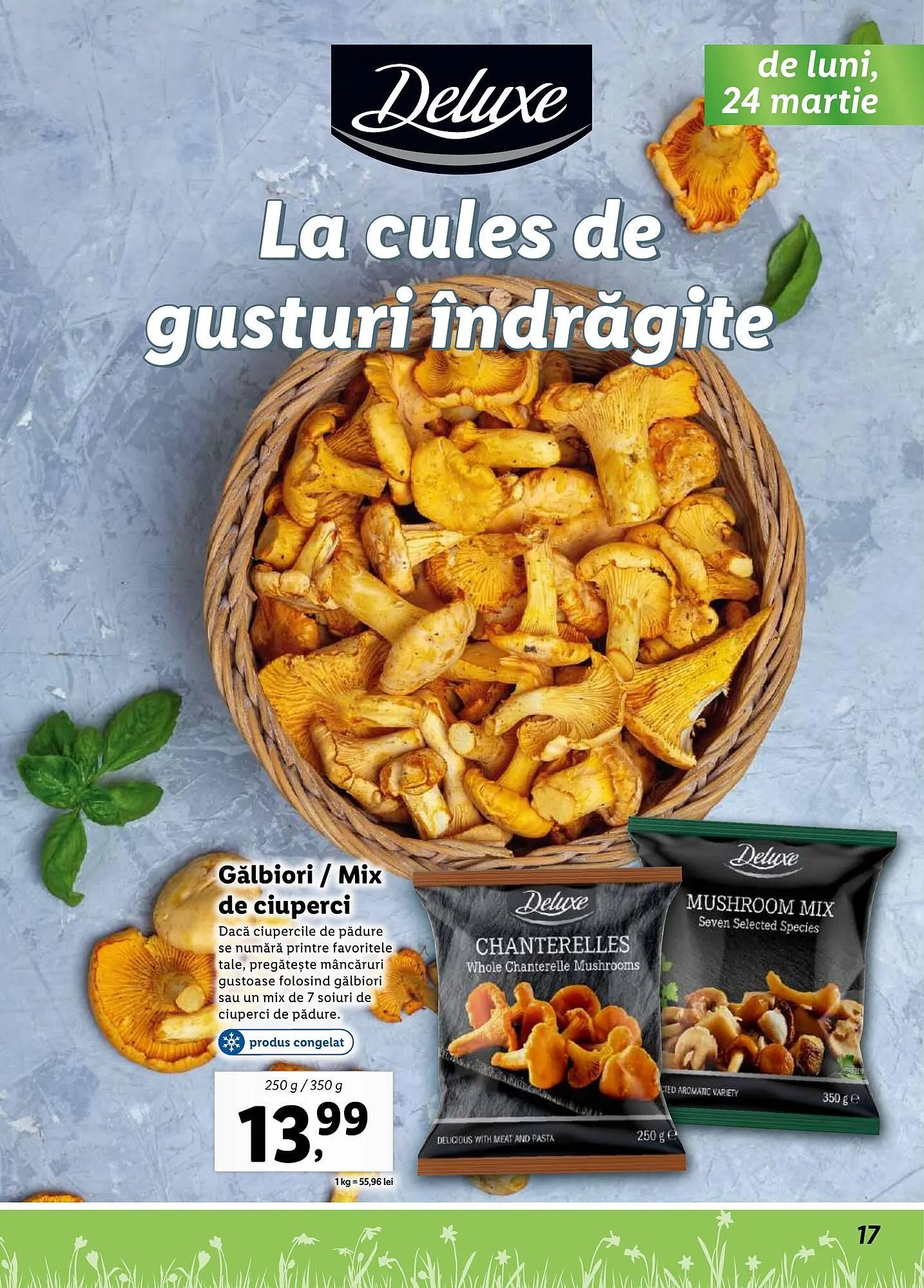 Catalog Catalog Lidl de la 24 martie până la 20 aprilie 2025 - Revista Pagina 17