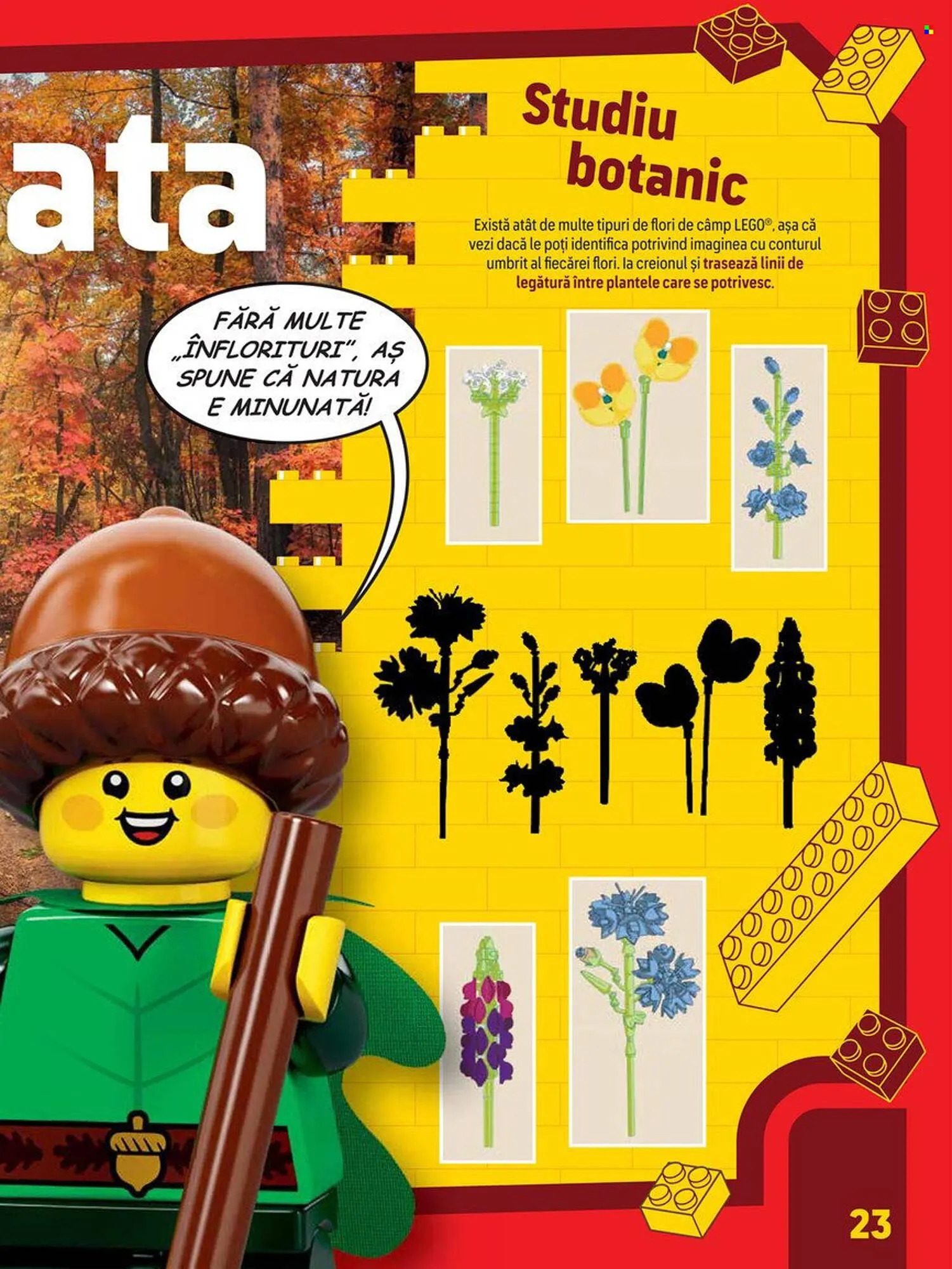 Catalog Catalog Carrefour de la 25 martie până la 2 iunie 2026 - Revista Pagina 23