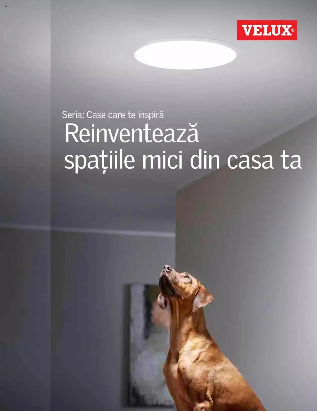 Velux - Reinventează spațiile mici din casa ta - 0