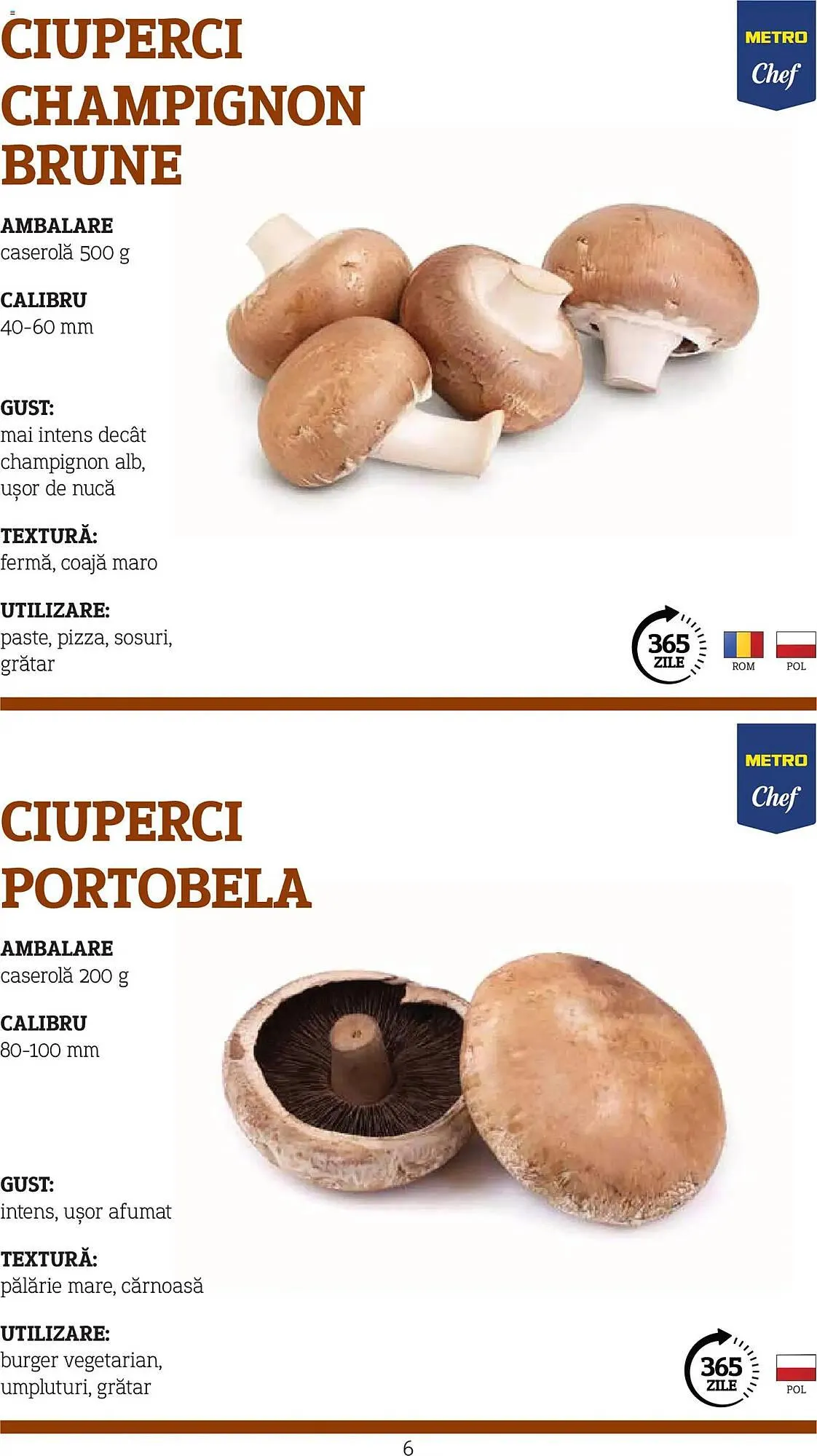 Catalog Catalog Metro de la 9 noiembrie până la 31 decembrie 2026 - Revista Pagina 6